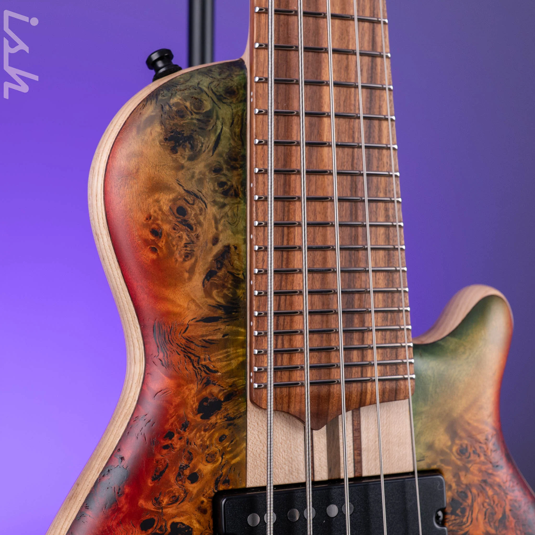 Mayones Cali 5 Mini Bass Curly Poplar - Image 4