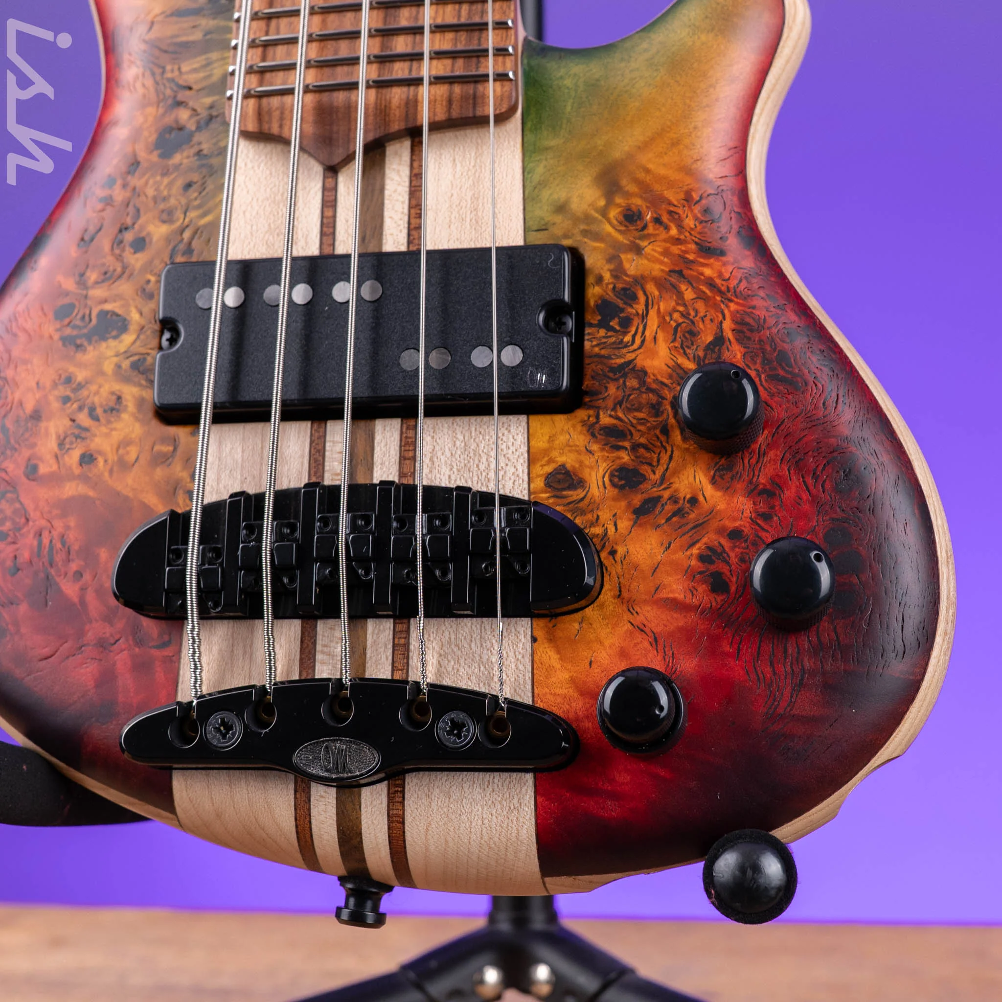 Mayones Cali 5 Mini Bass Curly Poplar - Image 5