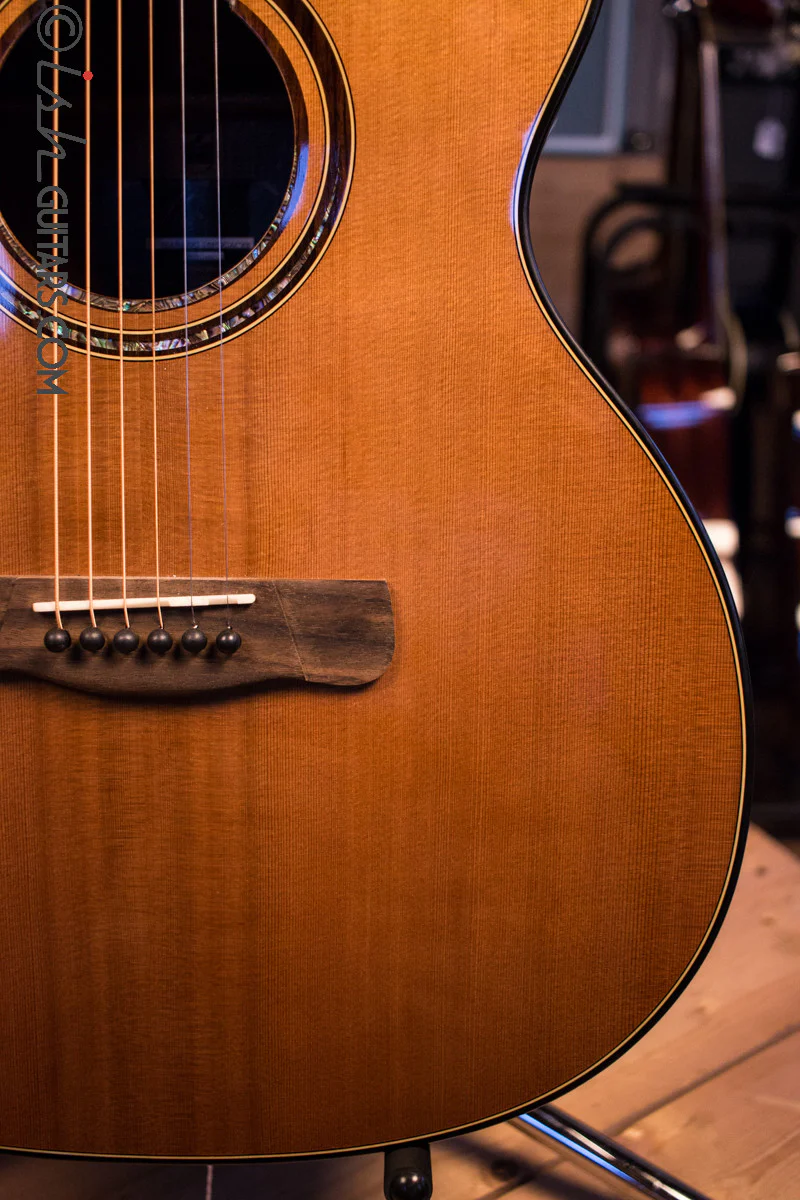 Merida Extrema Diana DG-15FOGACES Acoustic Guitar - Image 4