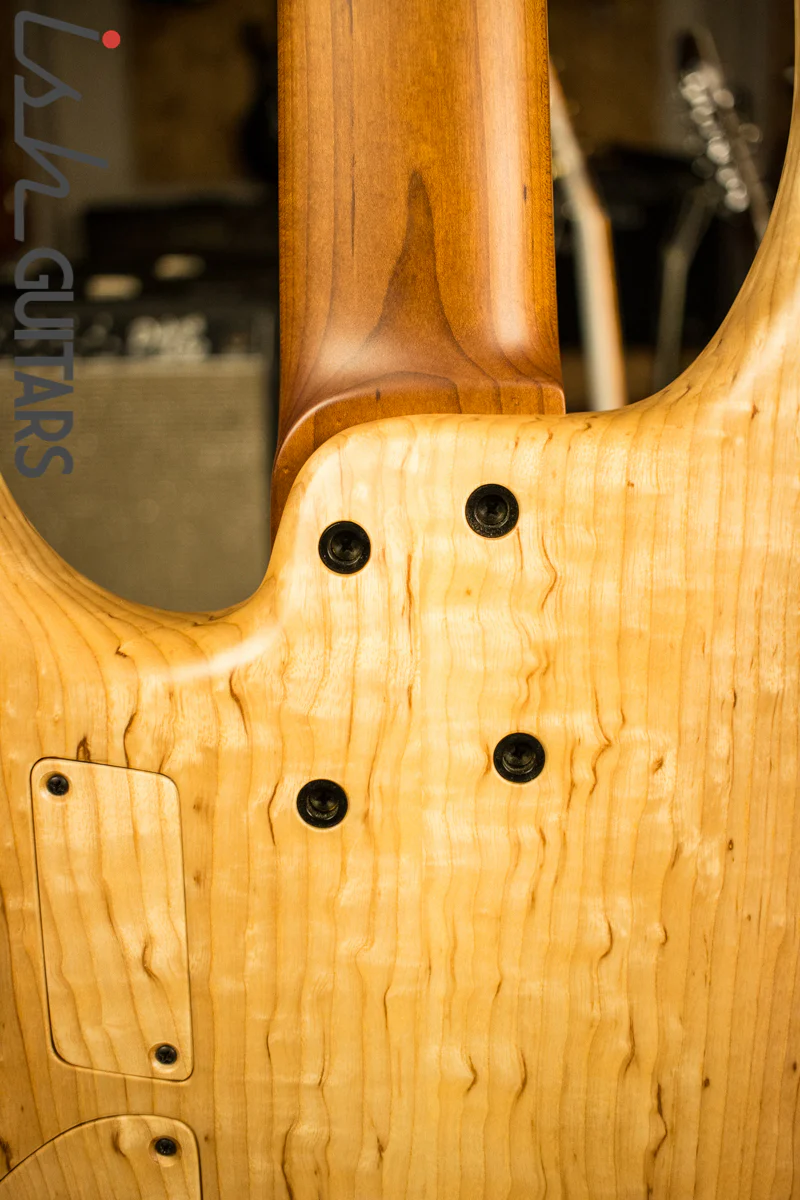 MTD Saratoga 5 String 2017 NAMM Bass Guitar Toma Ash - Image 10