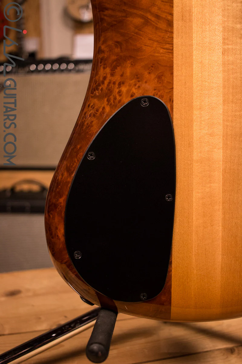 NAMM Spector NS-2 Solid Water Cured Redwood 7.4 Pounds - Image 10