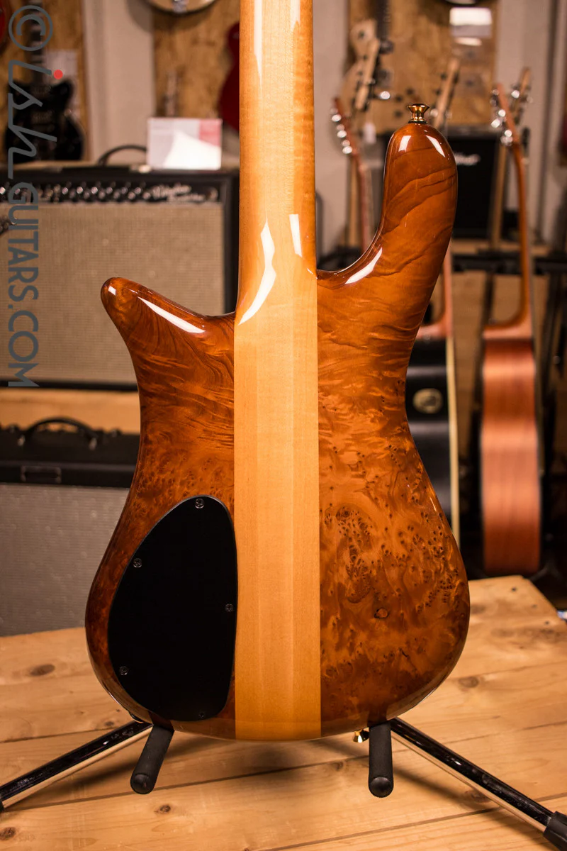 NAMM Spector NS-2 Solid Water Cured Redwood 7.4 Pounds - Image 7