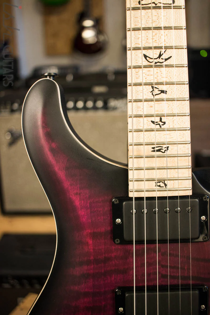 Paul Reed Smith Dustie Waring CE24 Floyd Limited Waring Burst - Image 3