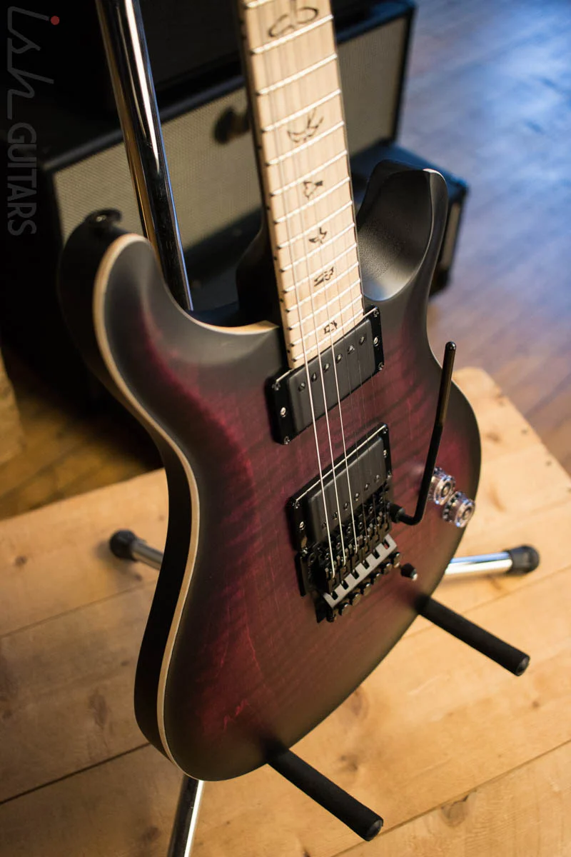Paul Reed Smith Dustie Waring CE24 Floyd Limited Waring Burst - Image 9