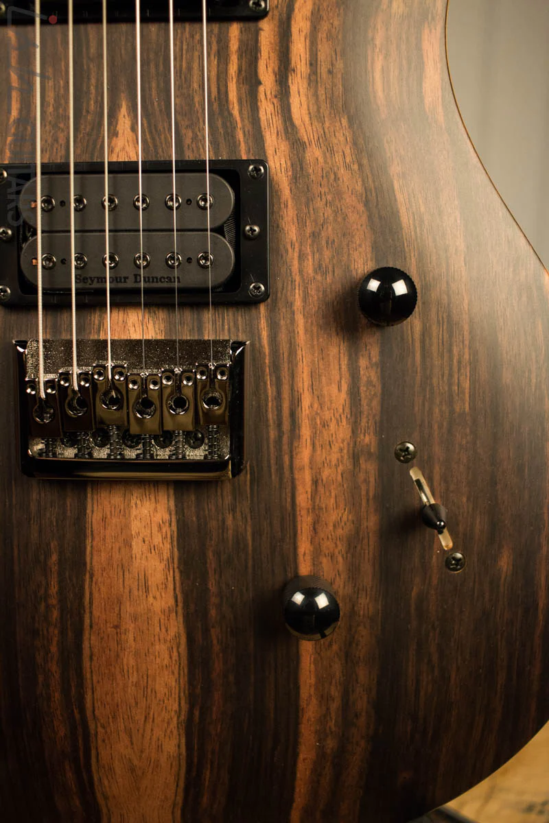 Paul Reed Smith PRS Mark Holcomb SE Macassar Ebony Natural Satin Ish Guitars Exclusive #19 - Image 4