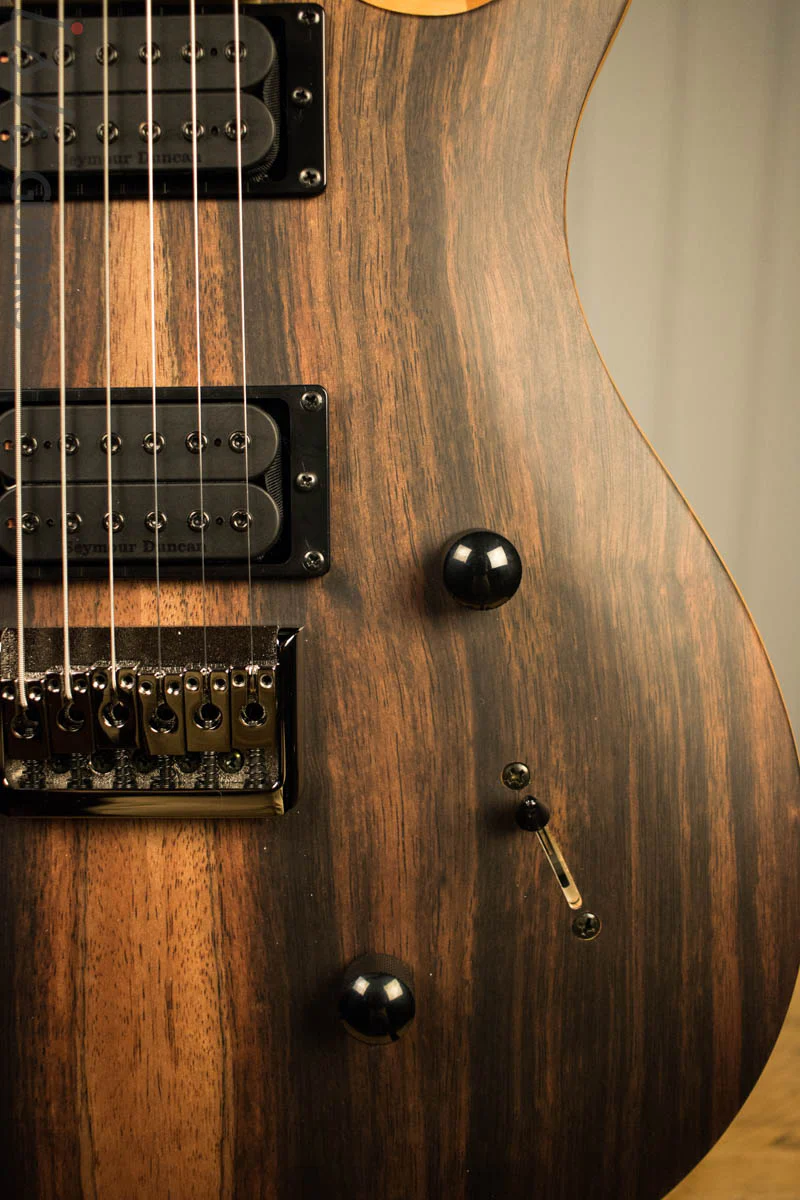 Paul Reed Smith PRS Mark Holcomb SE Macassar Ebony Natural Satin Ish Guitars Exclusive #22 - Image 4
