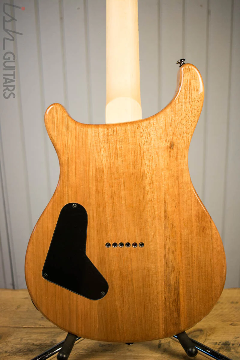 Paul Reed Smith PRS Mark Holcomb SE Quilted Maple Trampas Green Ish Guitars Exclusive #10 (DEMO VIDEO) - Image 7