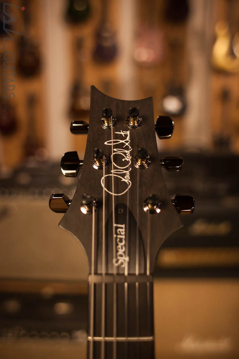 Paul Reed Smith PRS Special 22 Semi-Hollow Wood Library Artist Top Swamp Ash Back Black Slate - Image 5