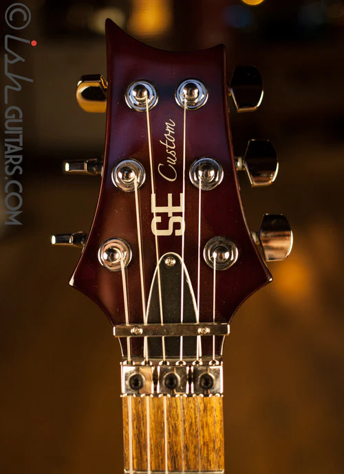 Paul Reed Smith SE Custom 24 Floyd Custom Inlays - Image 5