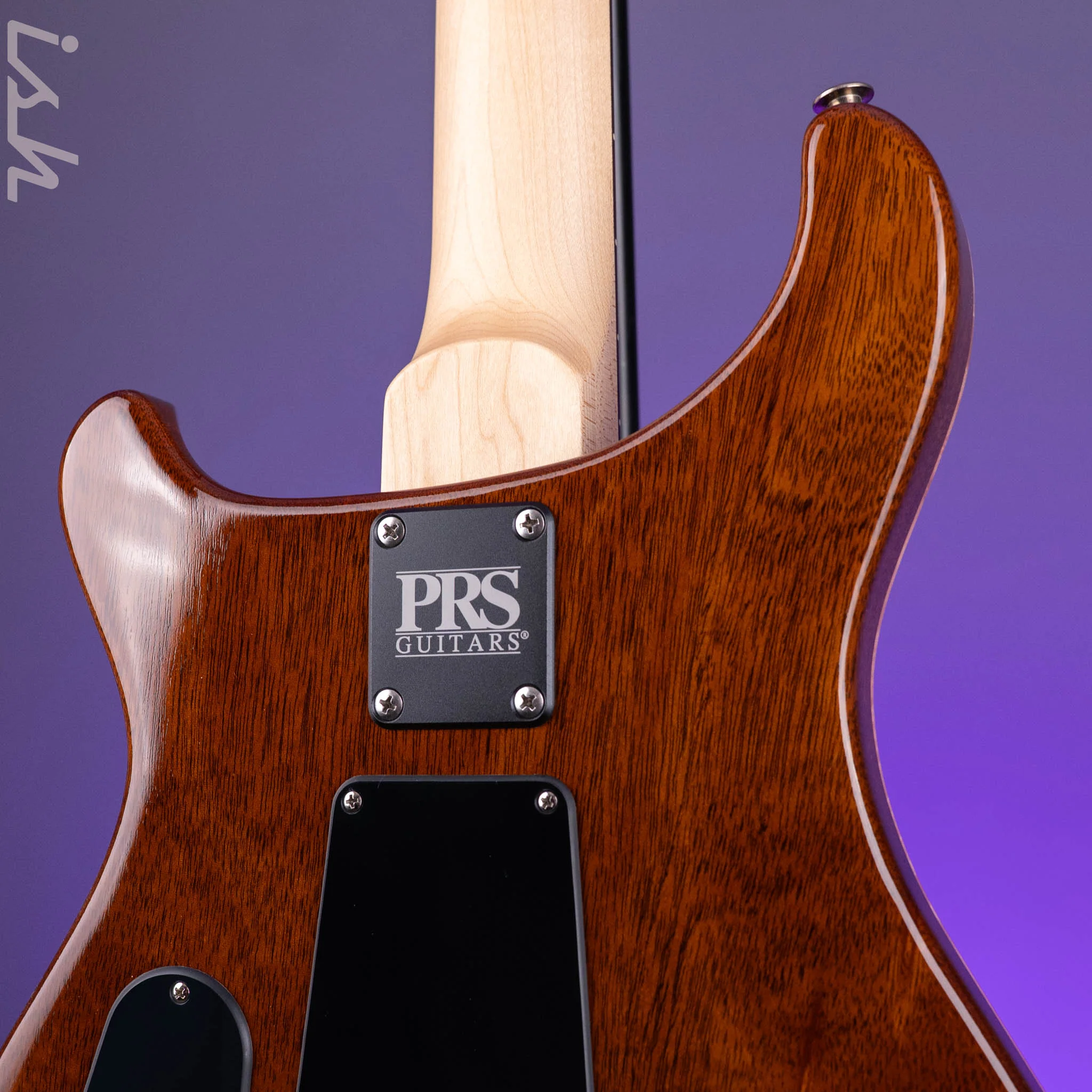 PRS CE 24 Special Sprayer’s Choice Vintage Natural - Image 10
