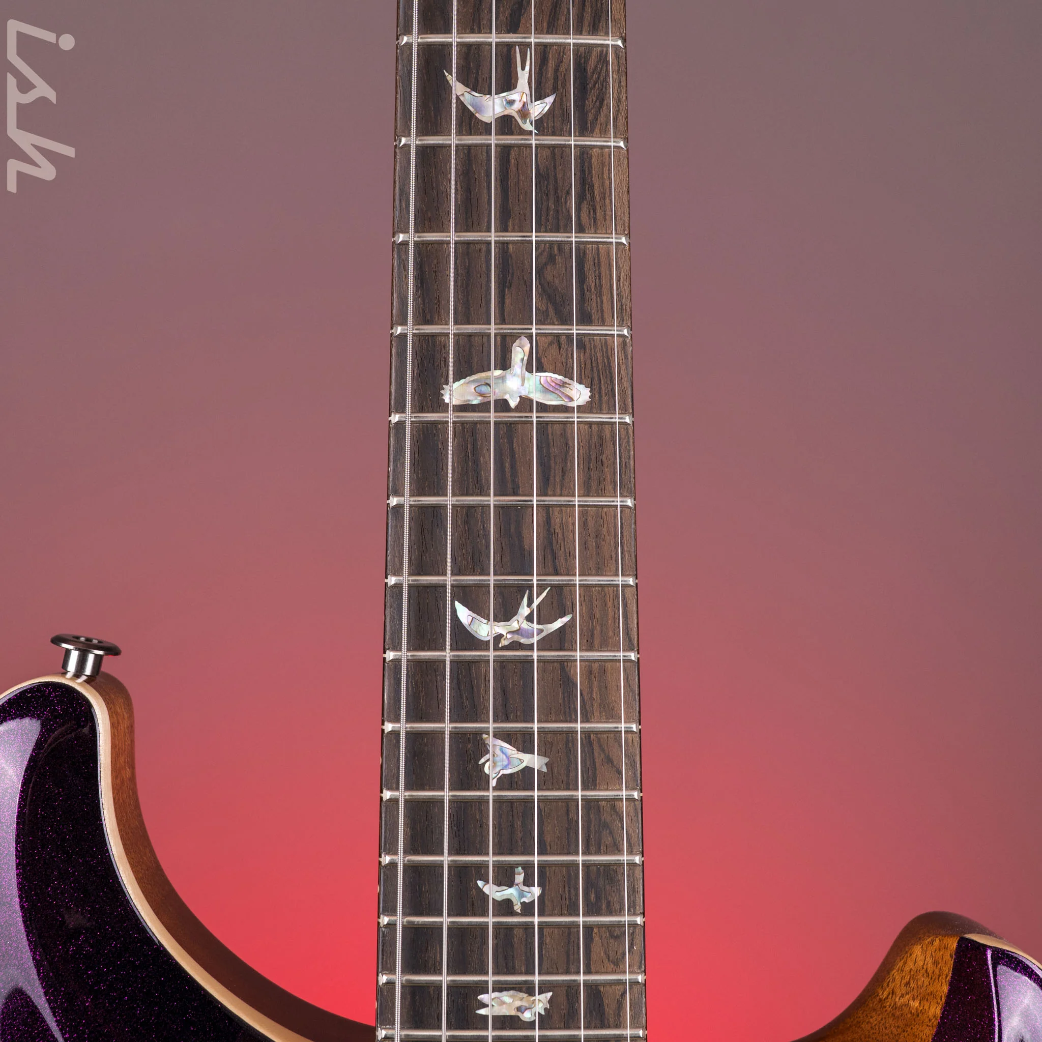PRS Custom 24 Purple Hollowflake *Ziricote Fretboard* Demo - Image 6
