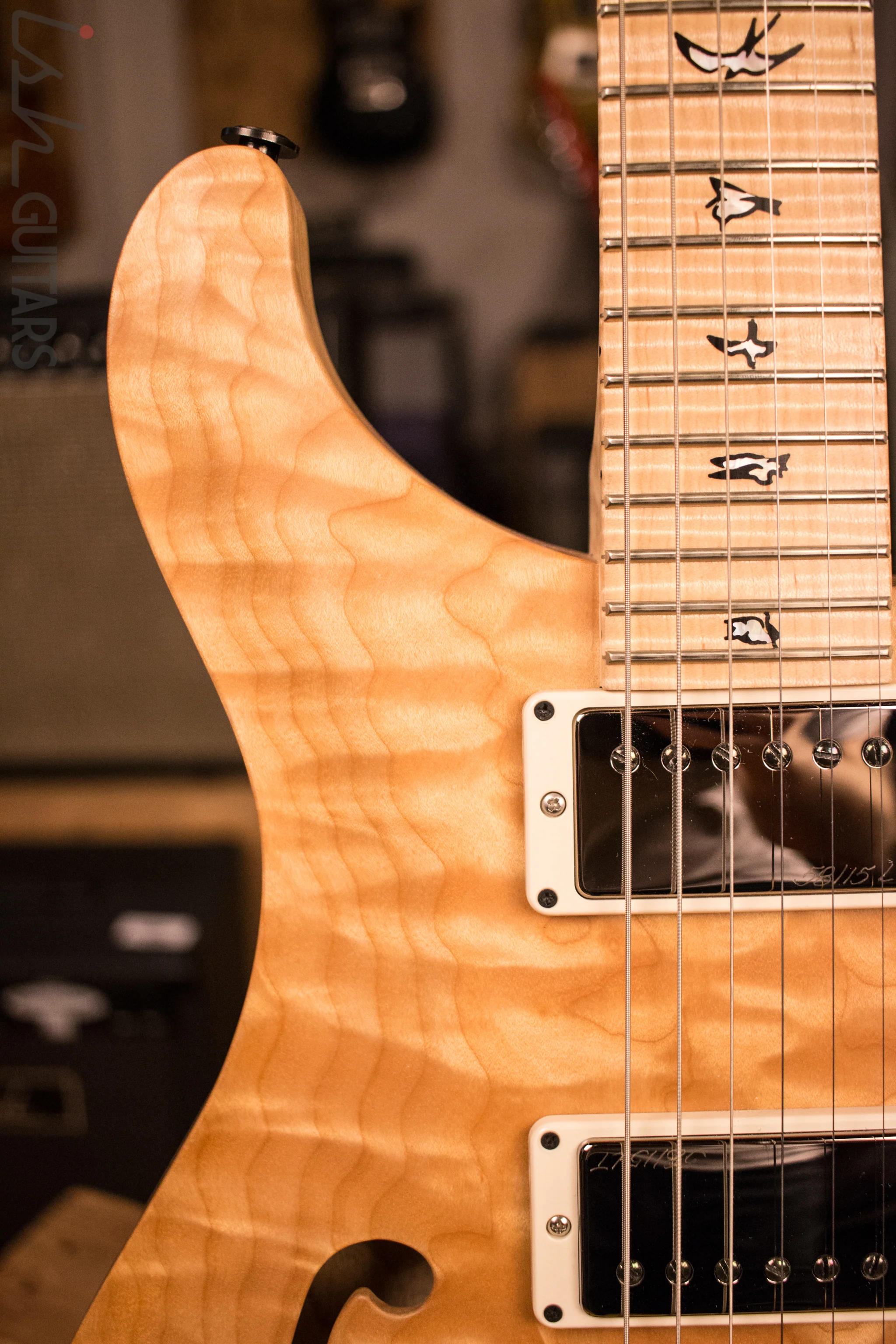PRS Custom 24 Semi-Hollow Ish Guitars Exclusive Wood Library Quilt - Image 3