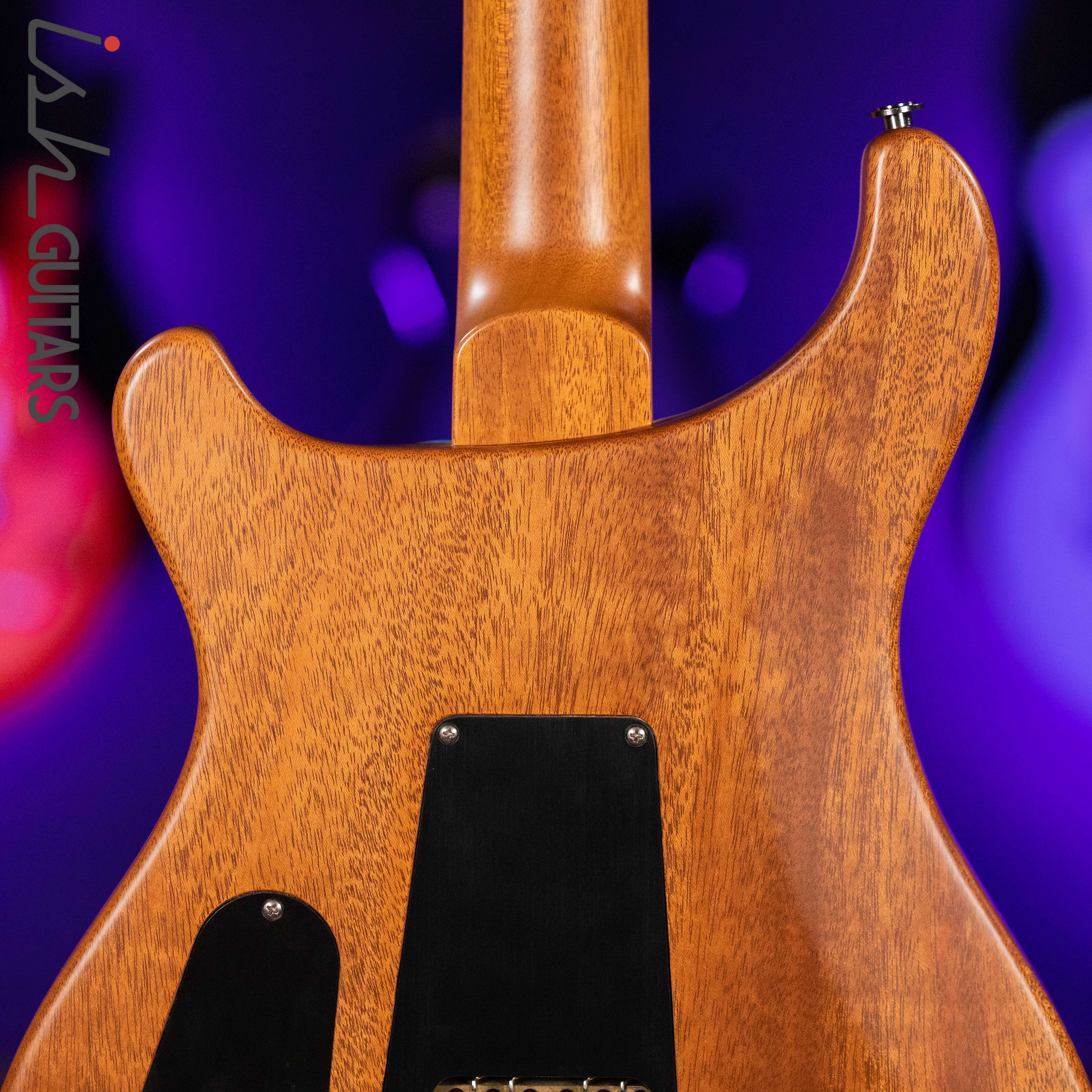 PRS Custom 24 Wood Library Powder Blue Opaque Satin - Image 11