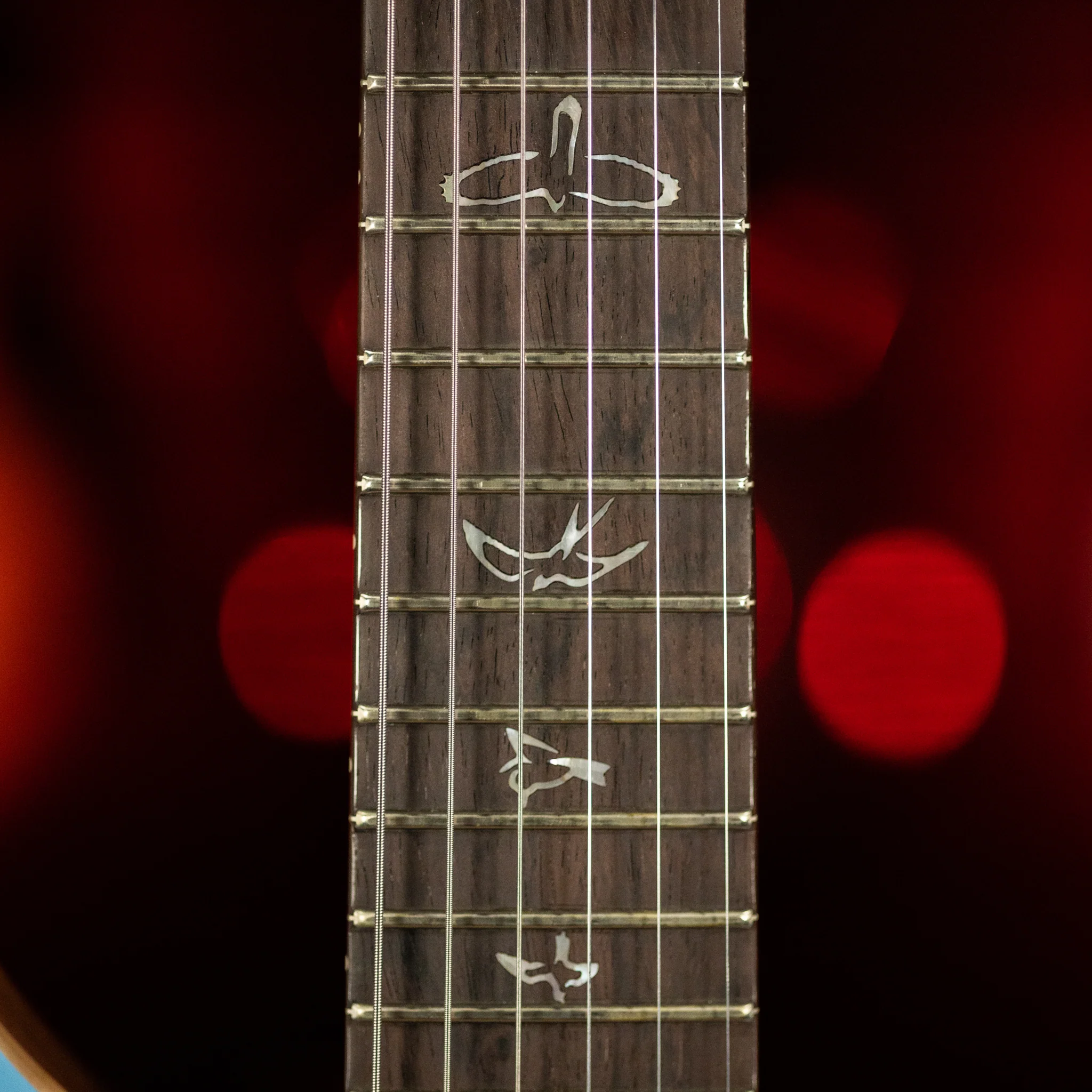 PRS Custom 24 Wood Library Powder Blue Opaque Satin - Image 6
