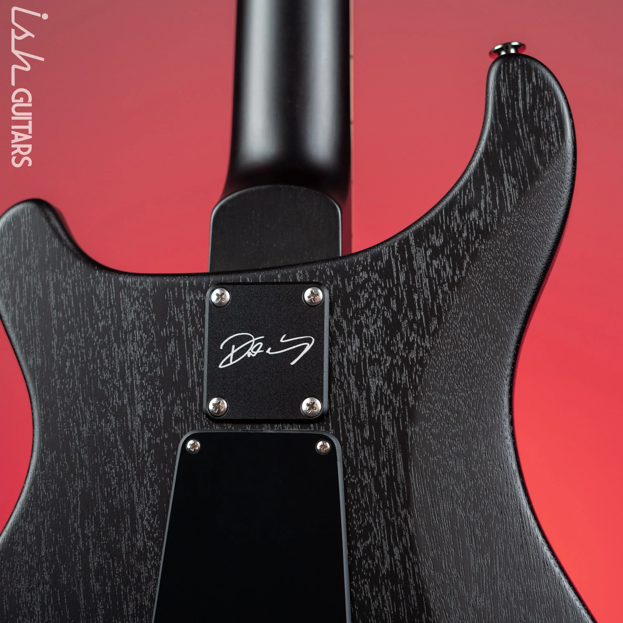 PRS Dustie Waring Signature CE 24 Floyd Gray Black Satin Nitro - Image 8