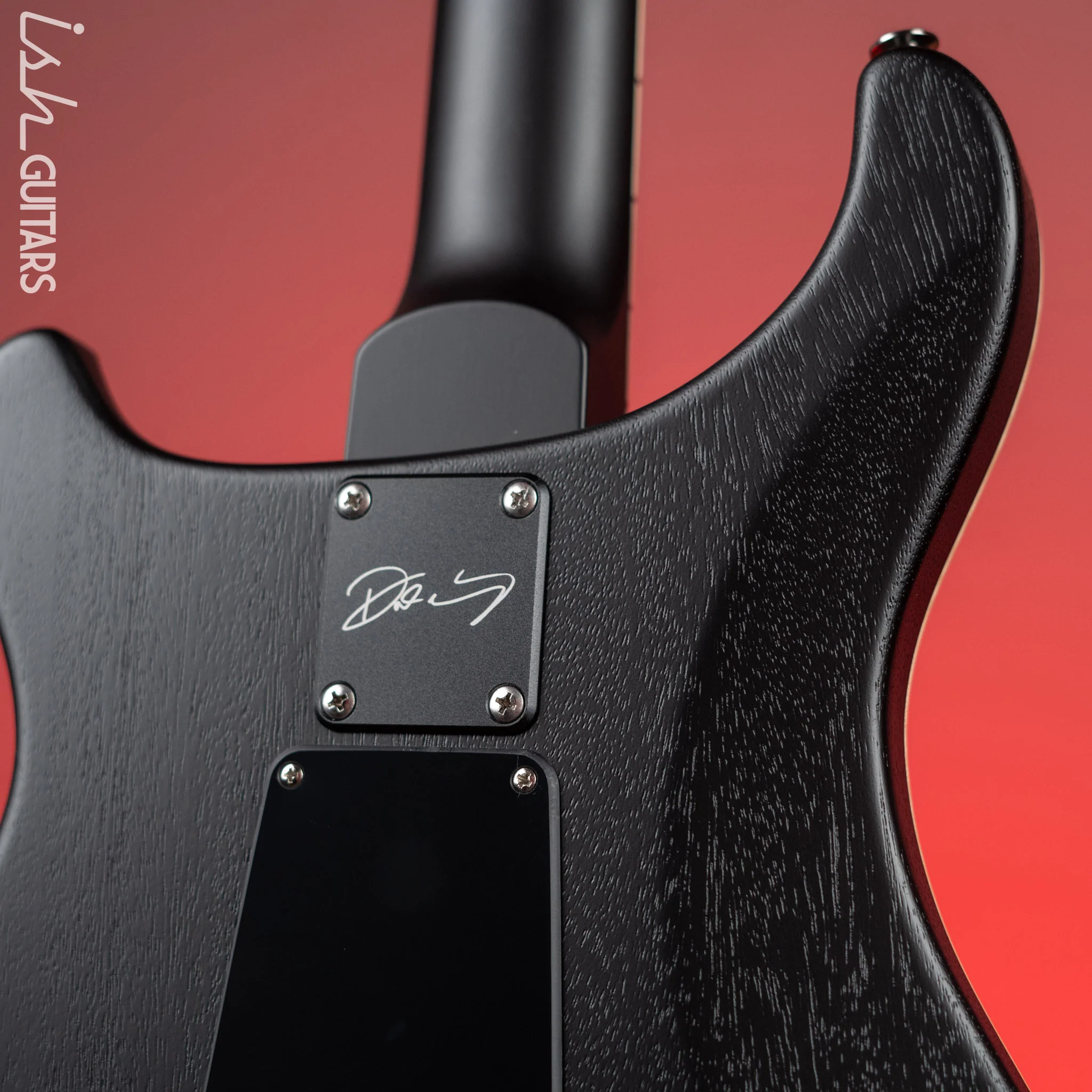 PRS Dustie Waring Signature CE 24 Floyd Gray Black Satin Nitro - Image 8