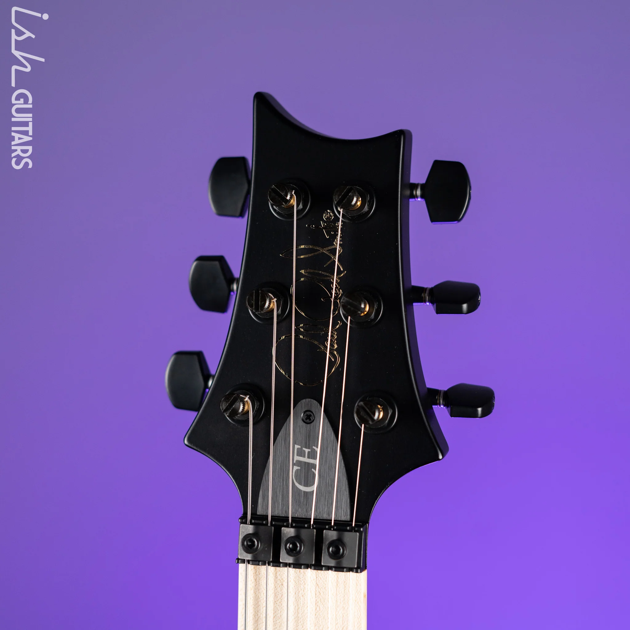 PRS Dustie Waring Signature CE 24 Floyd Satin Black - Image 5