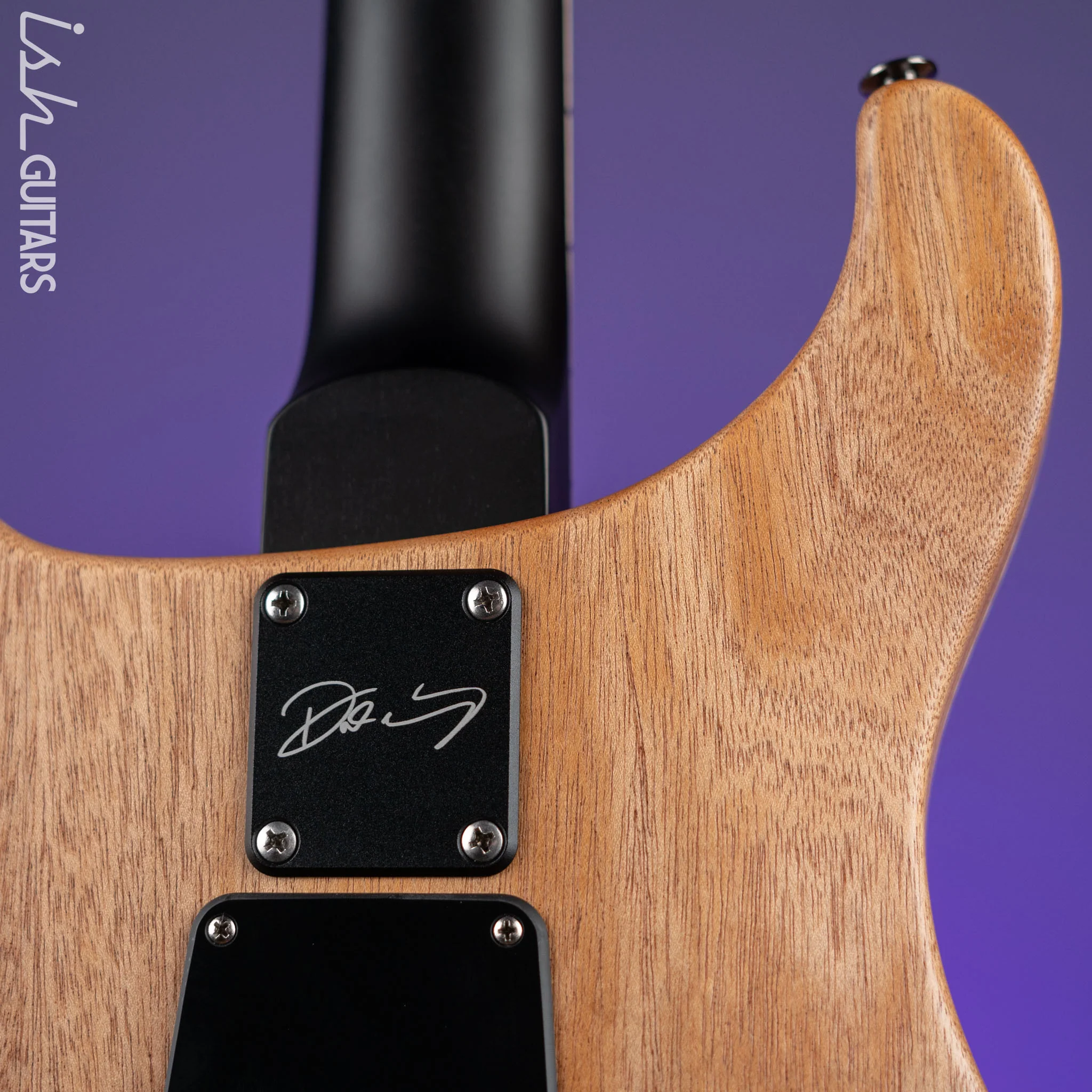 PRS Dustie Waring Signature CE 24 Floyd Satin Black - Image 8