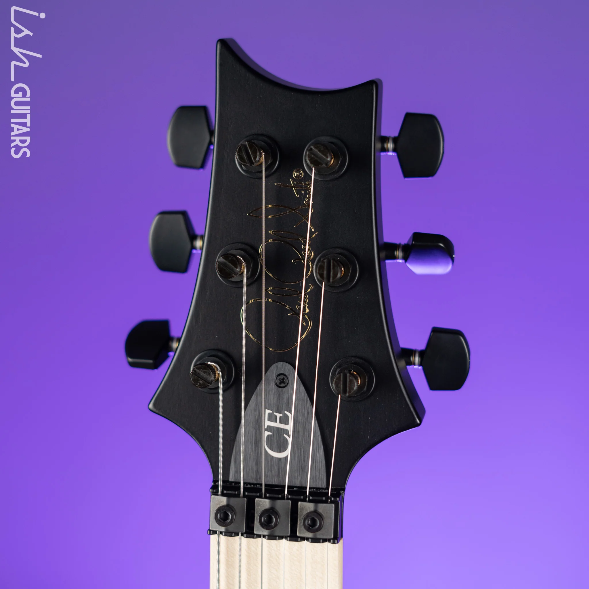 PRS Dustie Waring Signature CE 24 Floyd Rose Waring Burst - Image 5