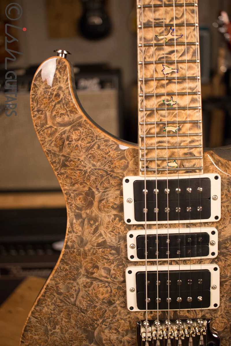 Paul Reed Smith PRS Private Stock Custom 24 Ish Guitars Exclusive - Image 3
