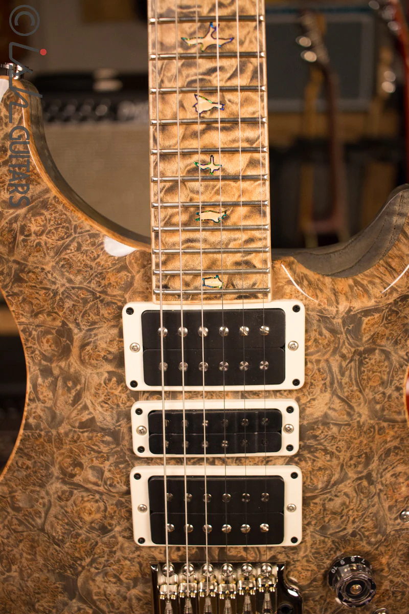 Paul Reed Smith PRS Private Stock Custom 24 Ish Guitars Exclusive - Image 6