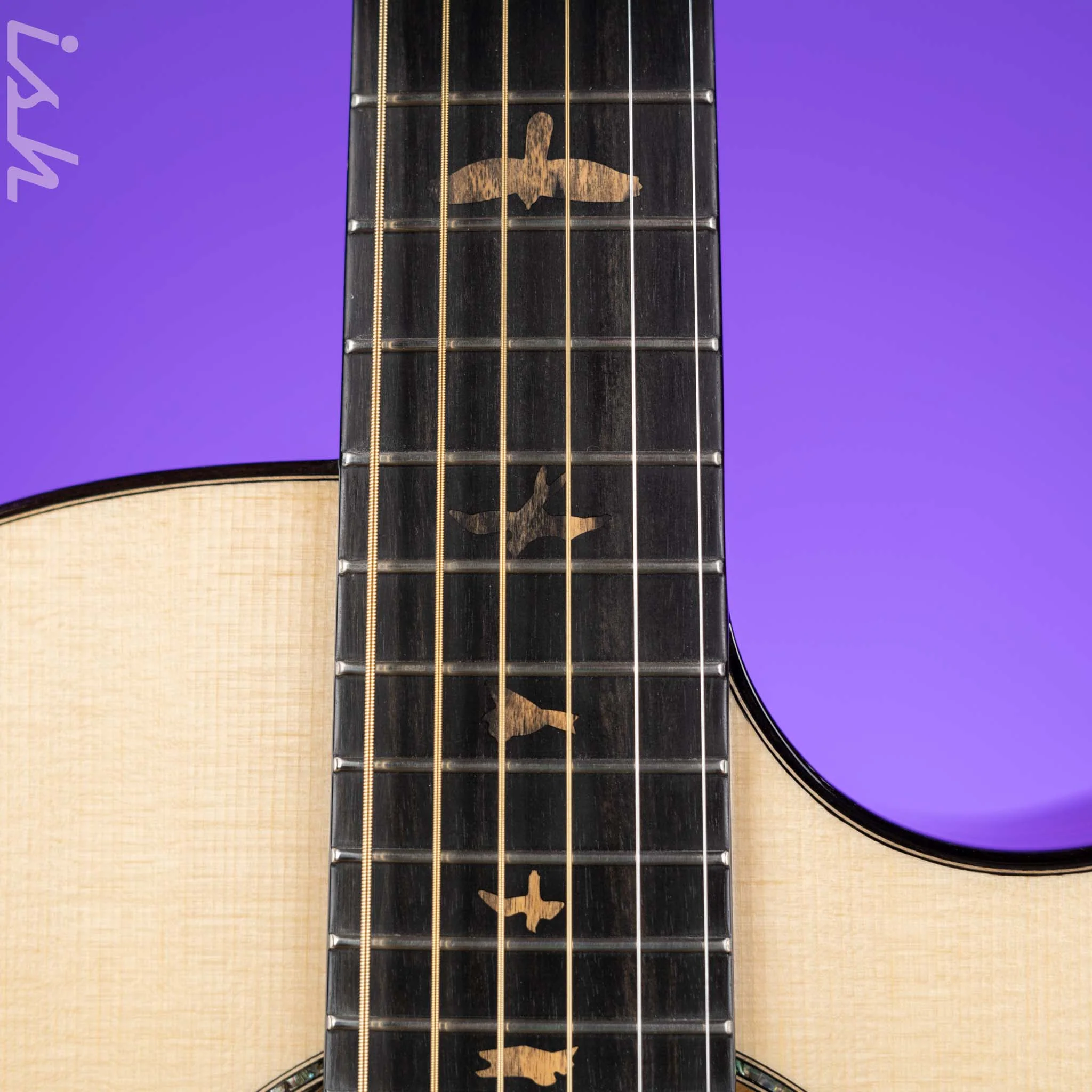 PRS Private Stock Angelus Cutaway Red Spruce Top / Pale Moon Ebony Back & Sides - Image 7