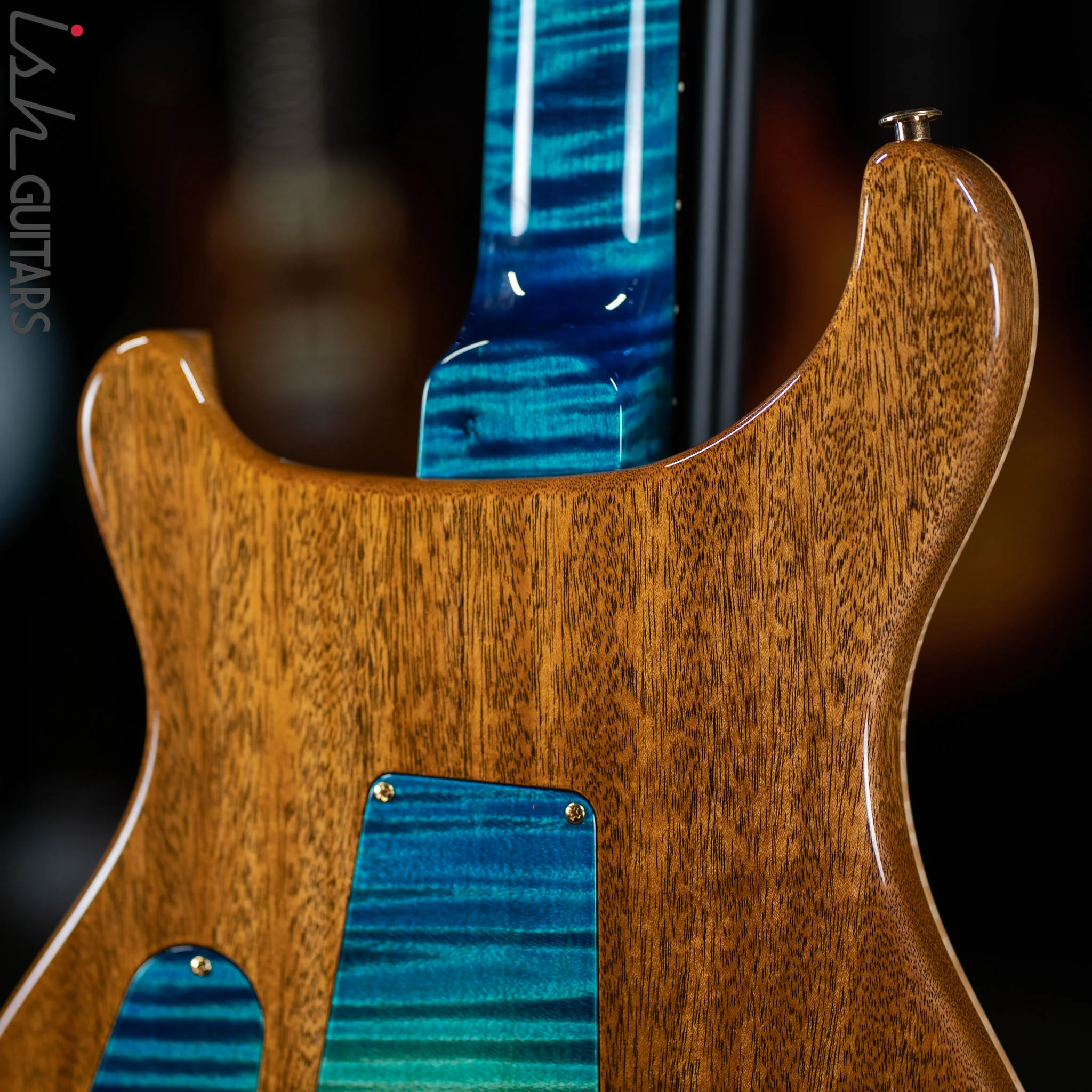 PRS Private Stock Custom 24-08 Laguna Dragons Breath - Image 11