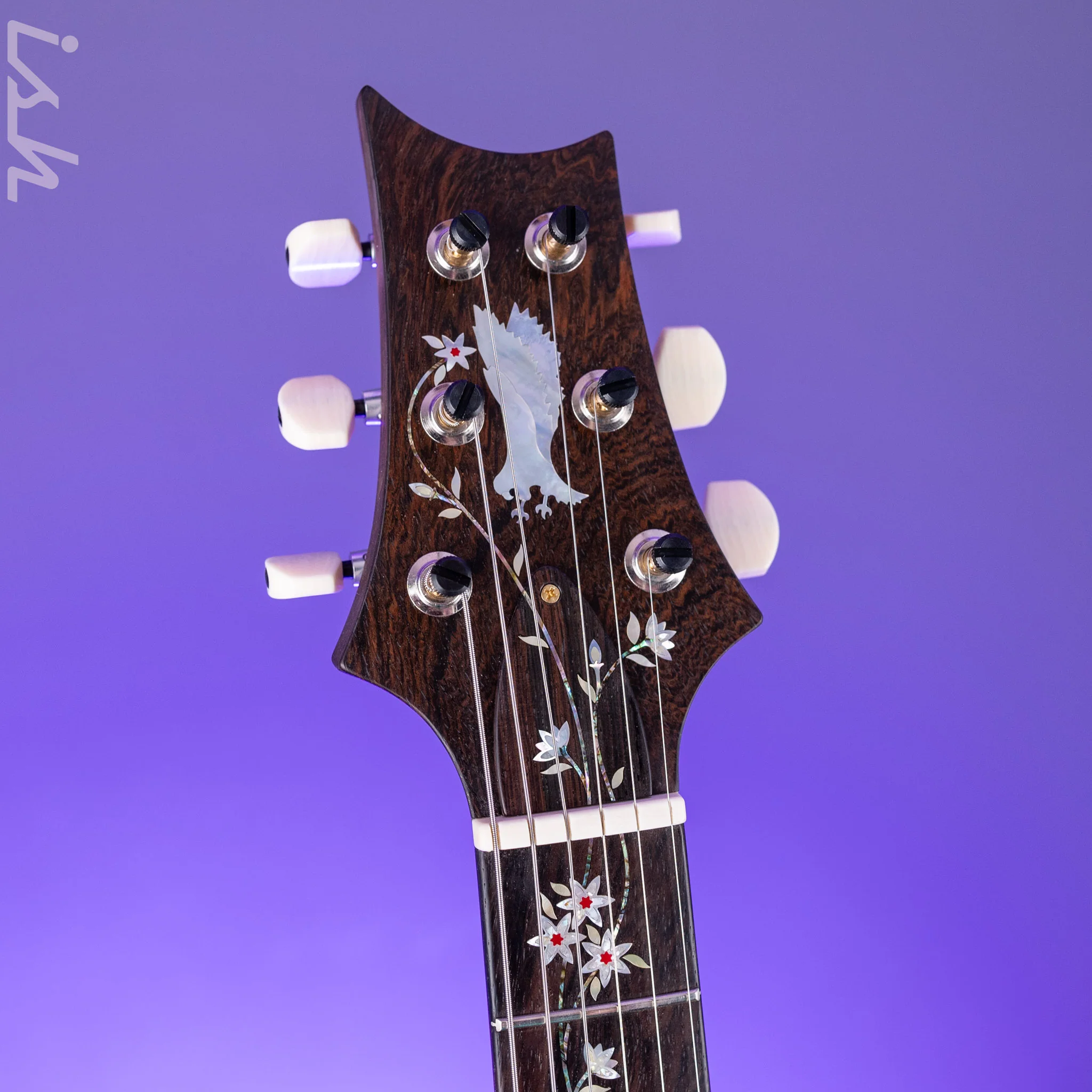 PRS Private Stock Custom 24 'Sculpture' Piezo Semi-Hollow Sculpture Guitar - Tree of Life - Image 7