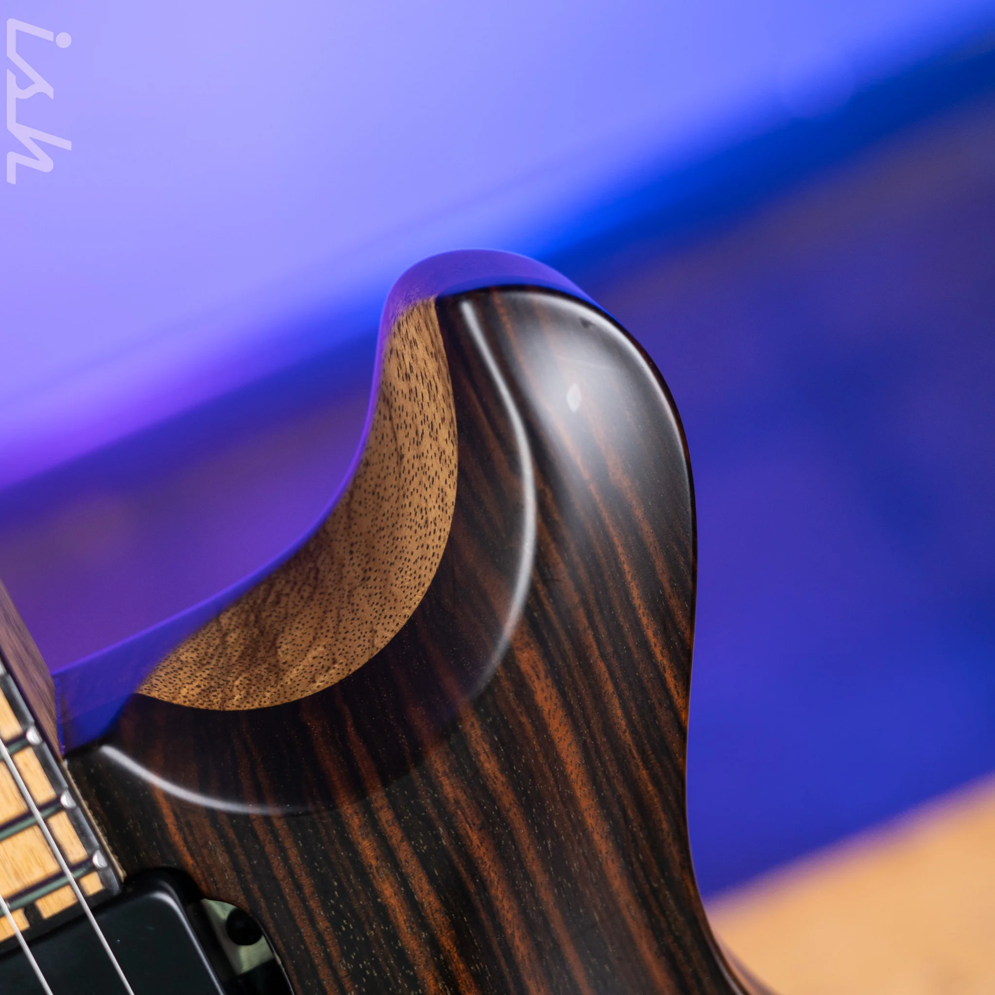 2021 PRS Private Stock Custom 24 Semi-Hollow Macassar Ebony Satin Nitro - Image 10