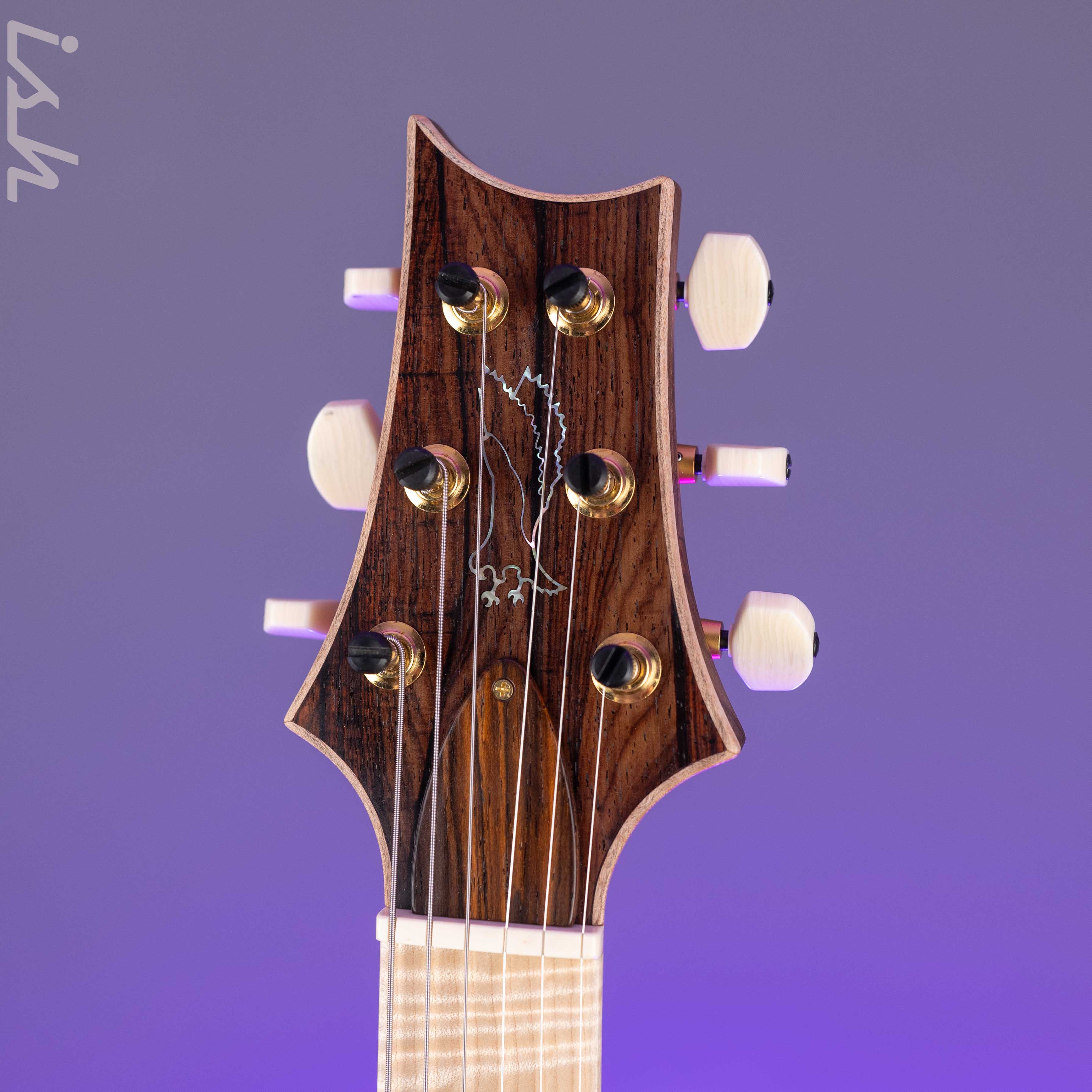 PRS Private Stock Paul's Guitar Semi-Hollow Cocobolo - Image 6
