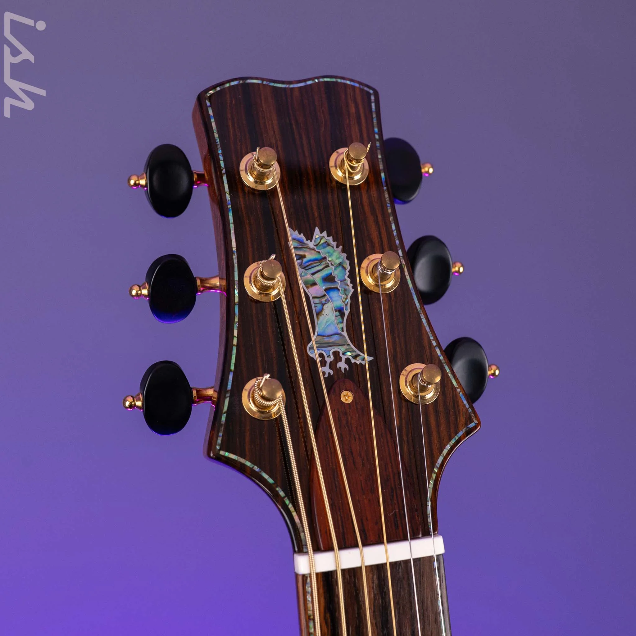 PRS Private Stock Tonare Acoustic Cocobolo - Image 10