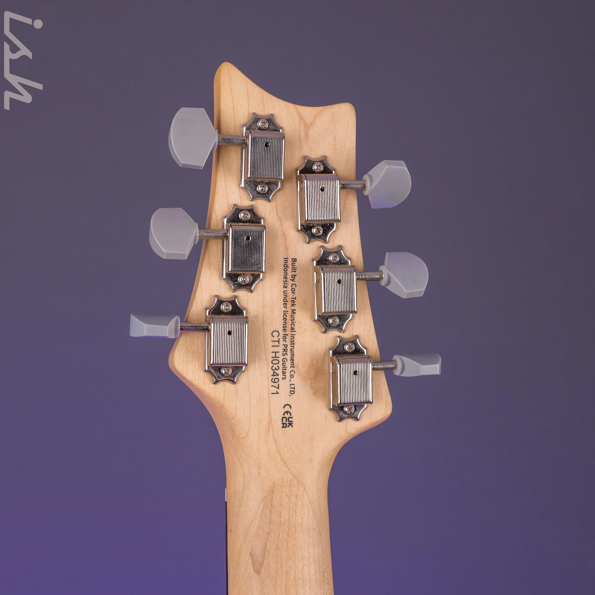 PRS SE Silver Sky Dandy Lion - Image 11