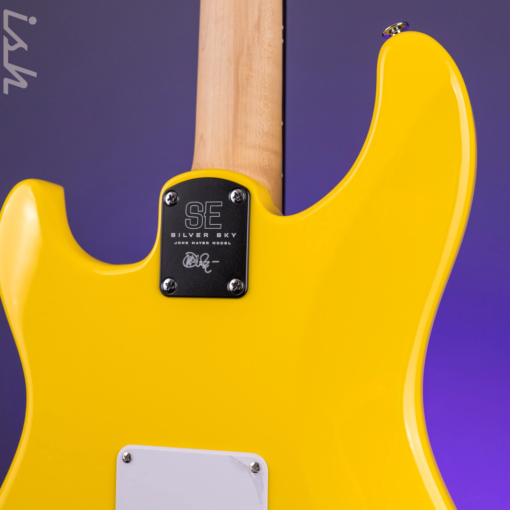 PRS SE Silver Sky Dandy Lion - Image 9