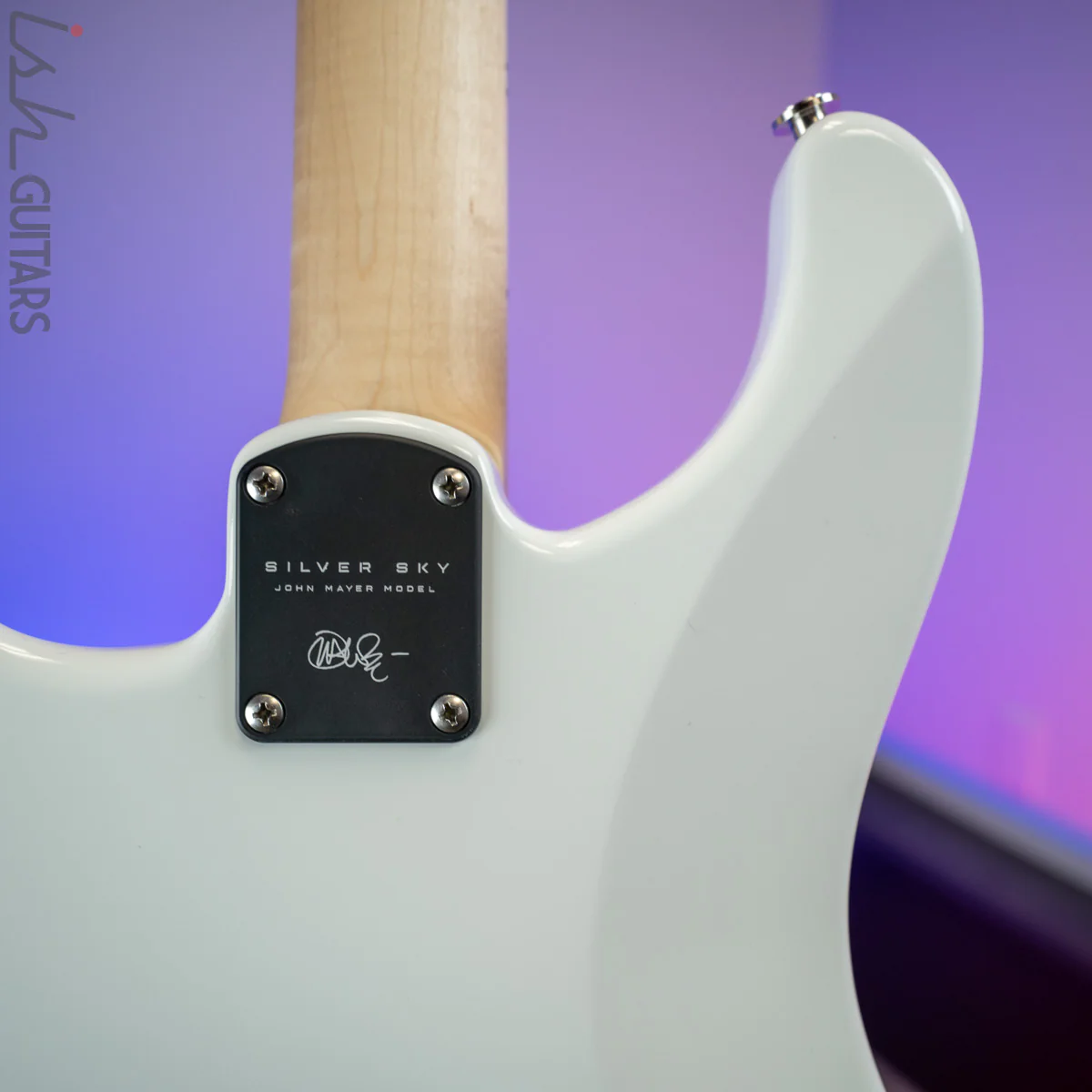 PRS Silver Sky Frost - Image 9