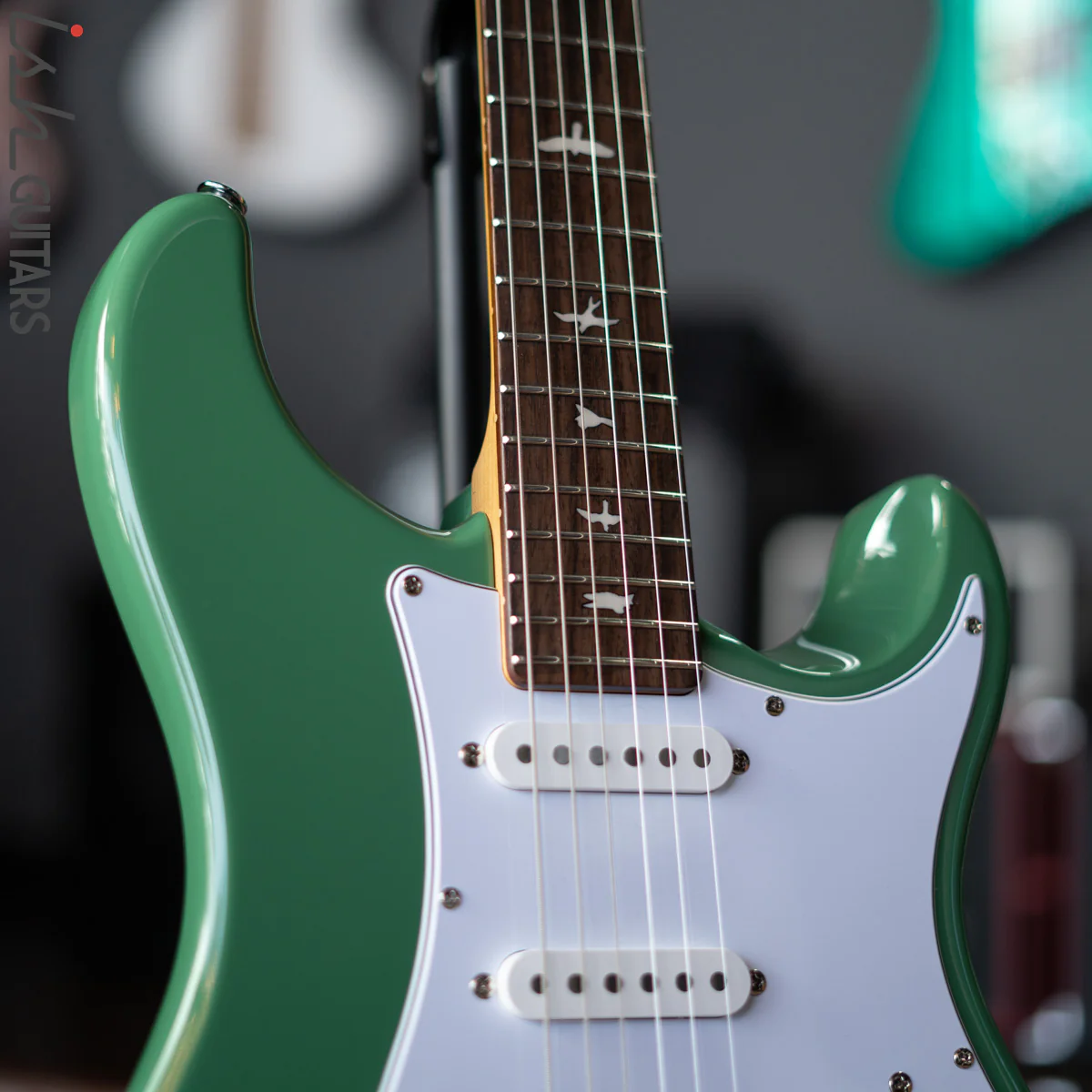 PRS SE Silver Sky Ever Green - Image 3