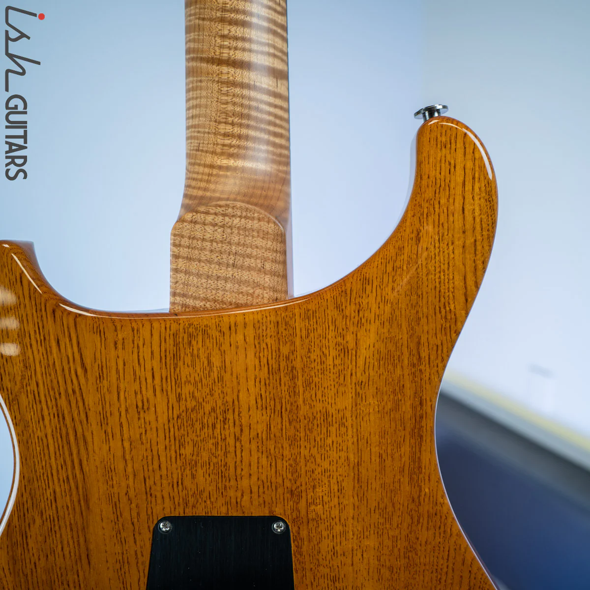 PRS Wood Library Custom 22 Soapbar Matteo Mist - Image 10