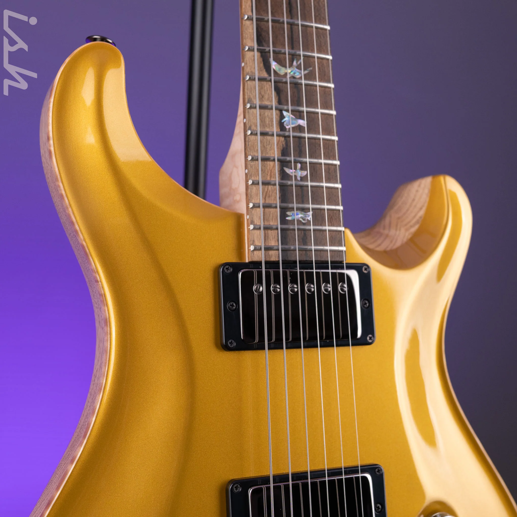 PRS Wood Library DGT Gold Top Ziricote Fretboard - Image 4