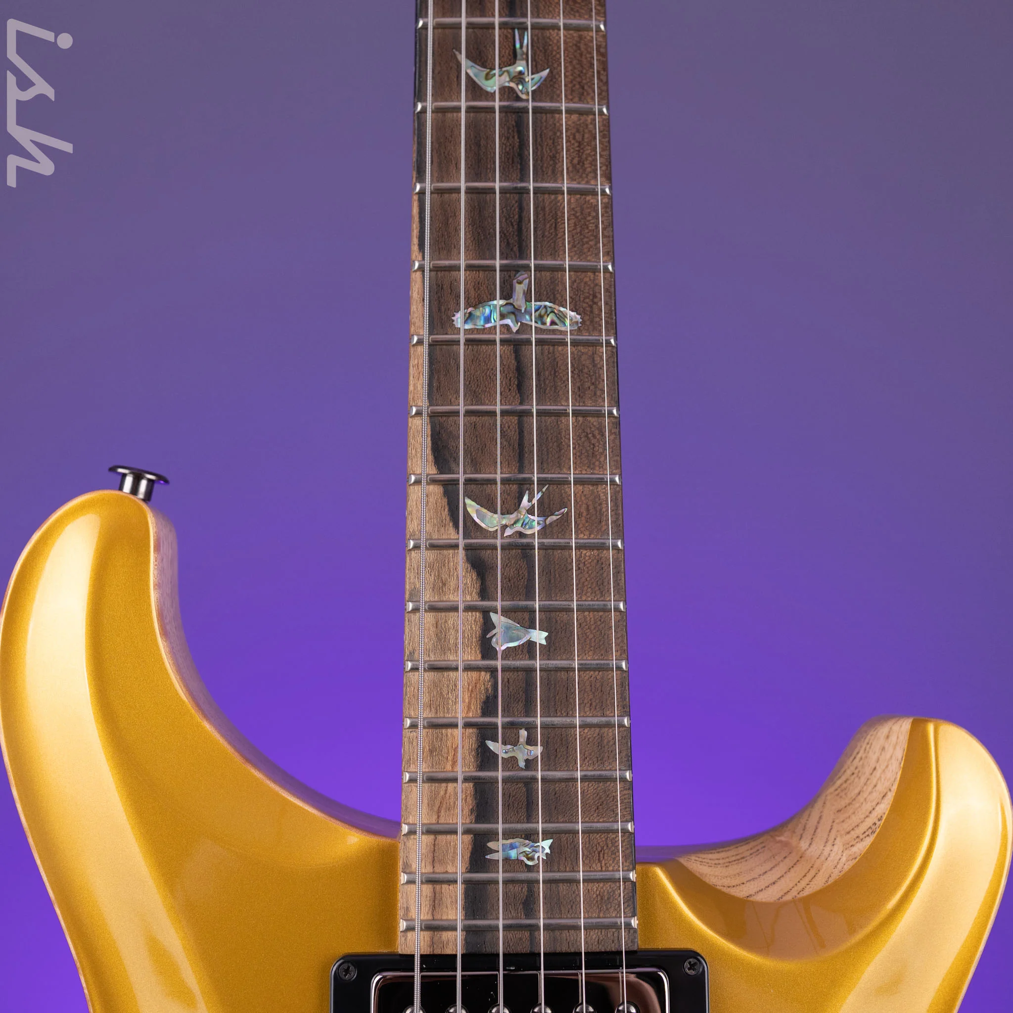PRS Wood Library DGT Gold Top Ziricote Fretboard - Image 6