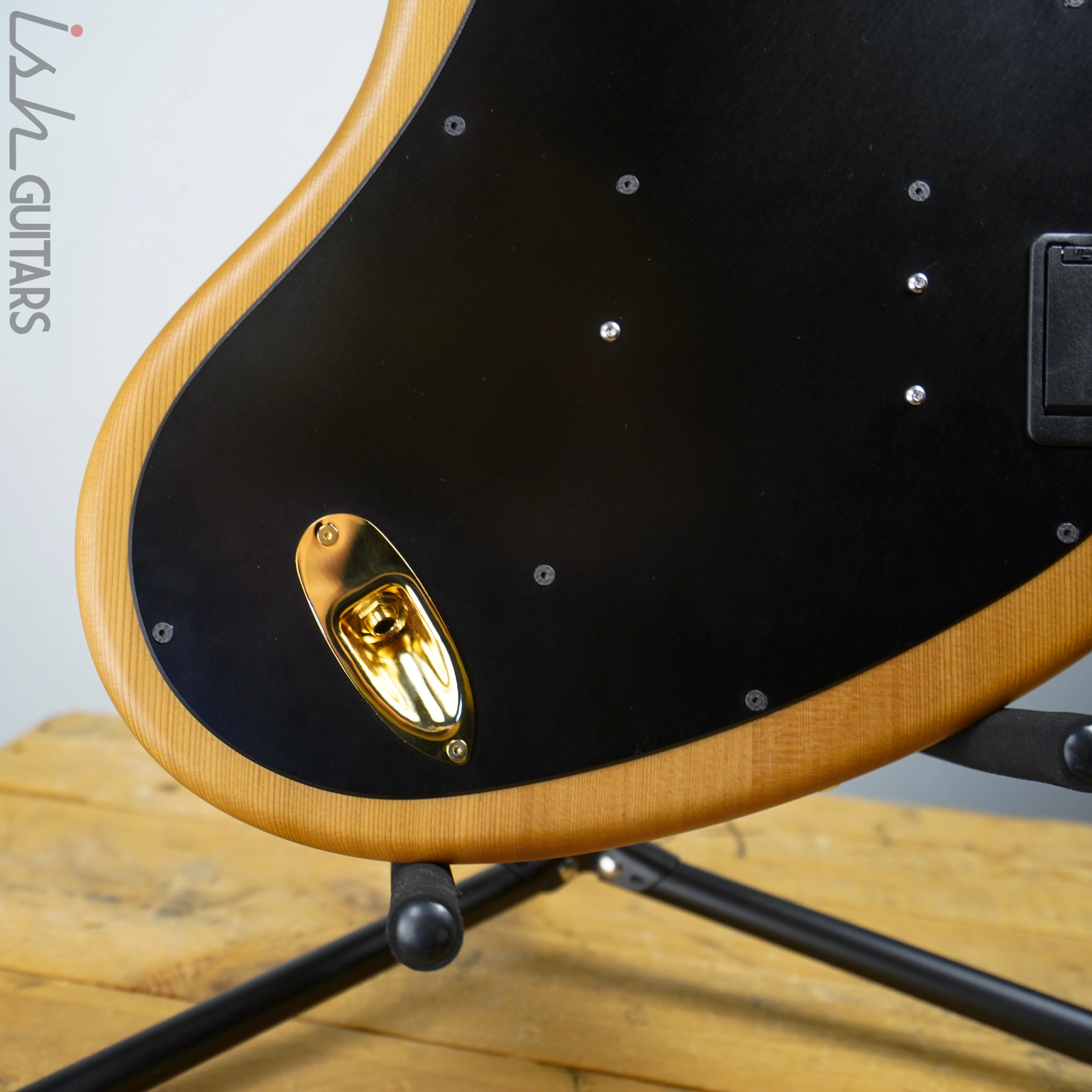 Ritter R8 Singlecut Acoustic Hollowbody Bass Piezo - First Ever! Redwood Body - Image 10