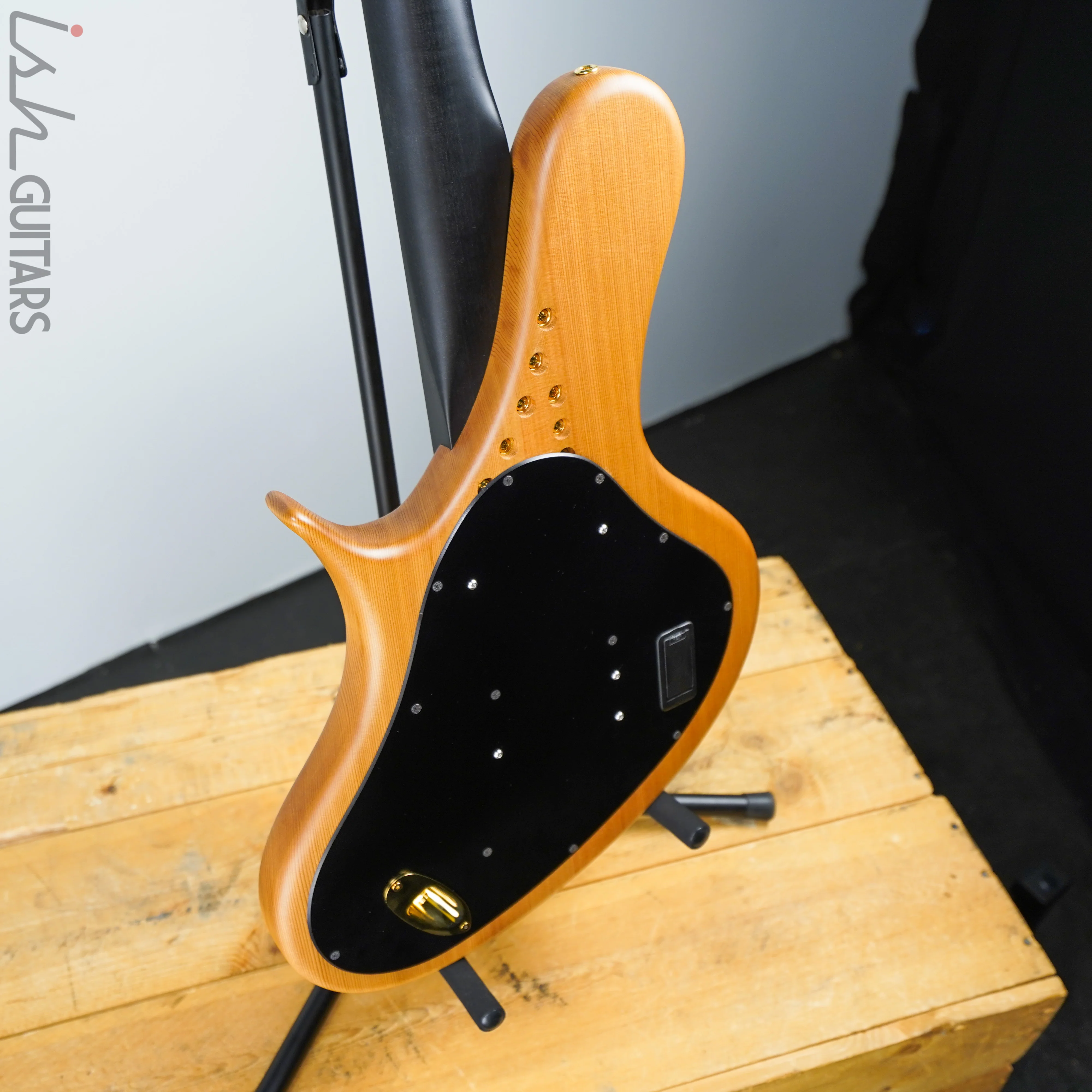 Ritter R8 Singlecut Acoustic Hollowbody Bass Piezo - First Ever! Redwood Body - Image 11