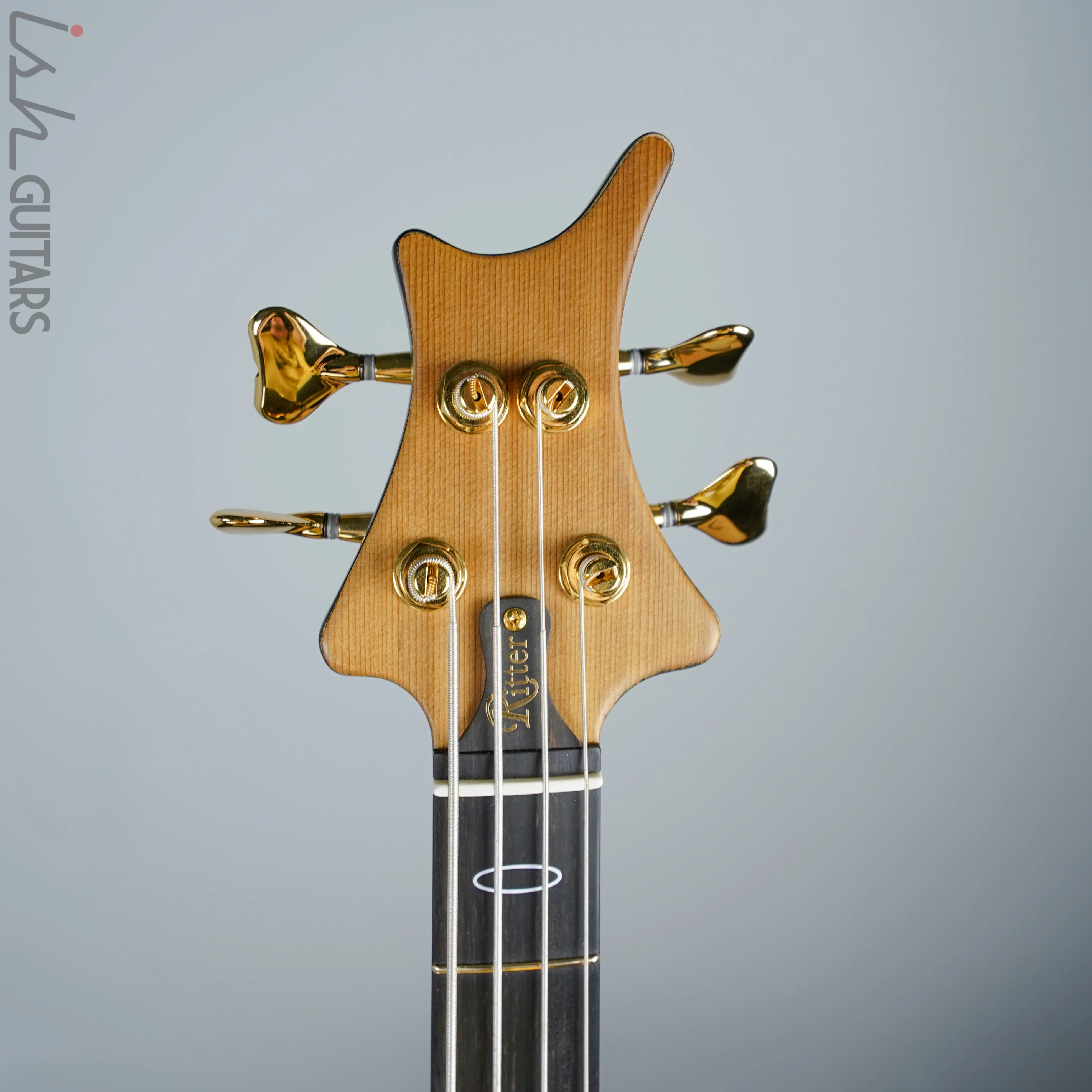 Ritter R8 Singlecut Acoustic Hollowbody Bass Piezo - First Ever! Redwood Body - Image 6