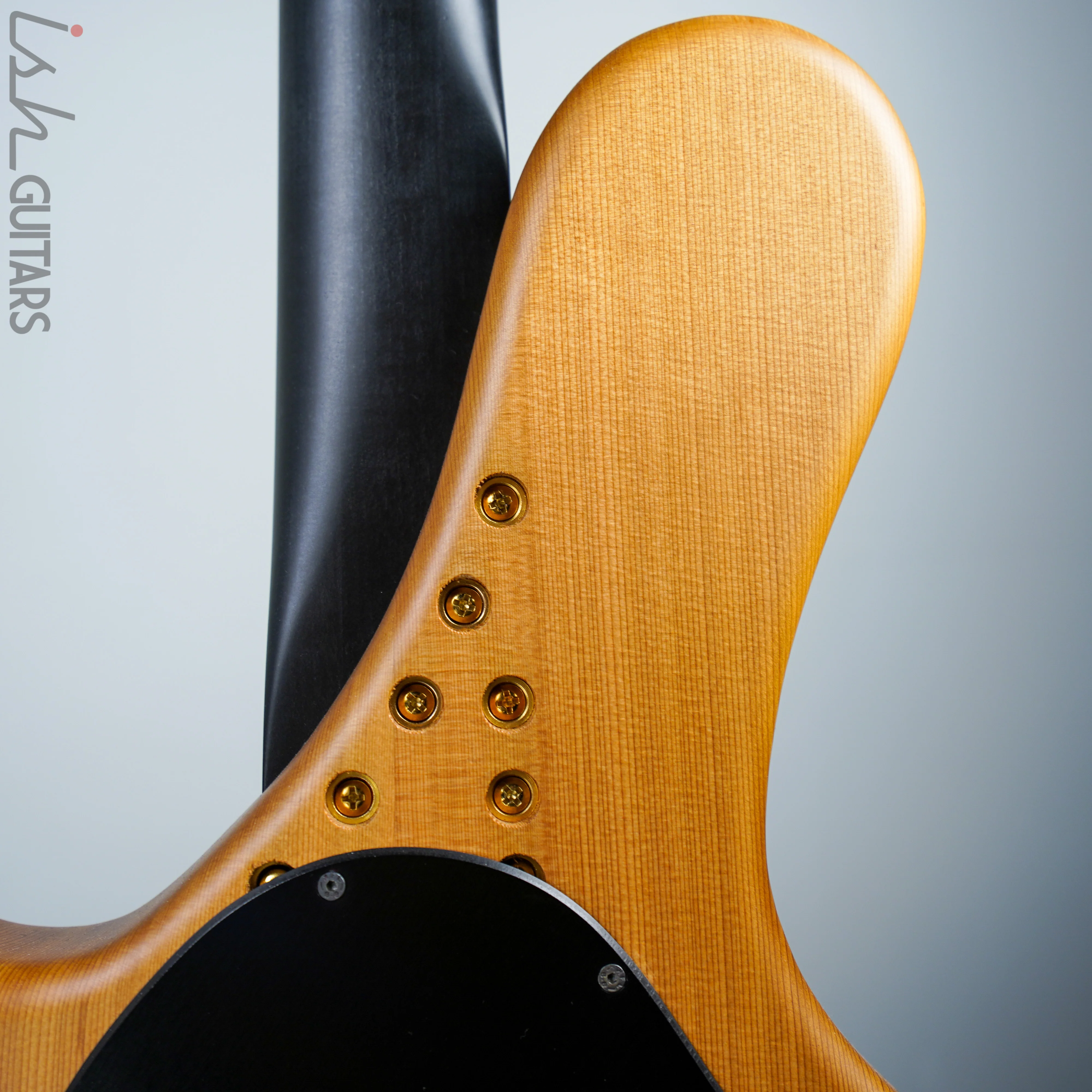 Ritter R8 Singlecut Acoustic Hollowbody Bass Piezo - First Ever! Redwood Body - Image 9