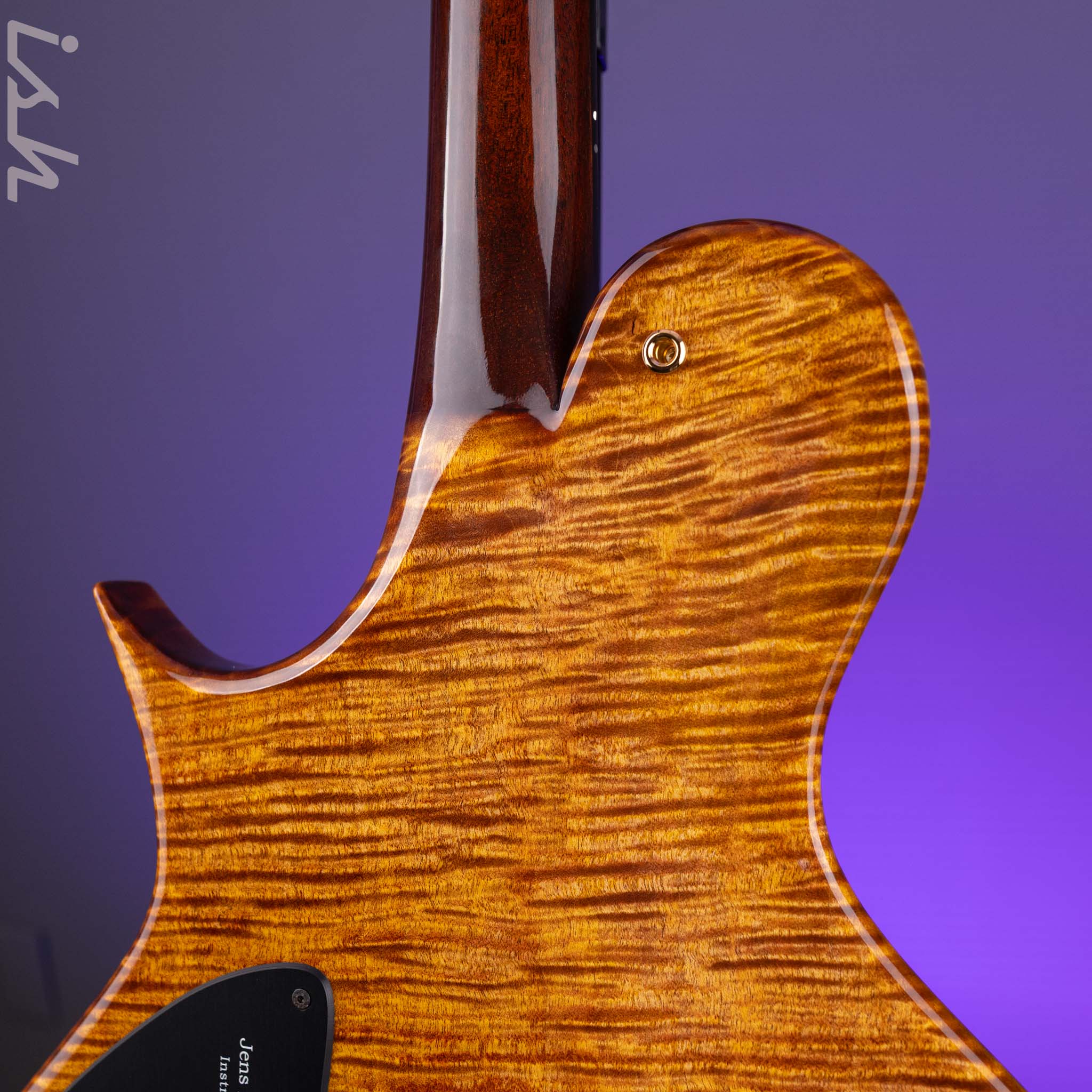 Ritter Porsch Flora Aurum Late Lounge Electric Guitar - Image 10