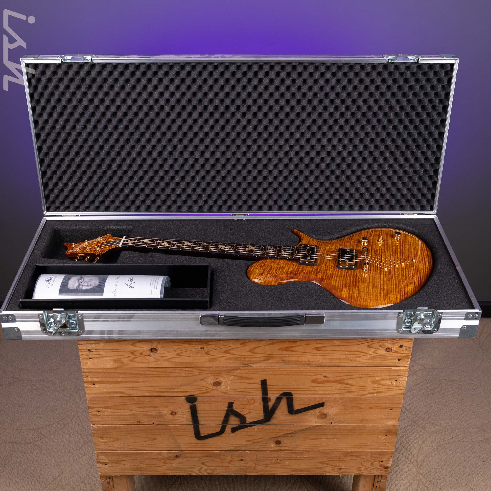 Ritter Porsch Flora Aurum Late Lounge Electric Guitar - Image 13