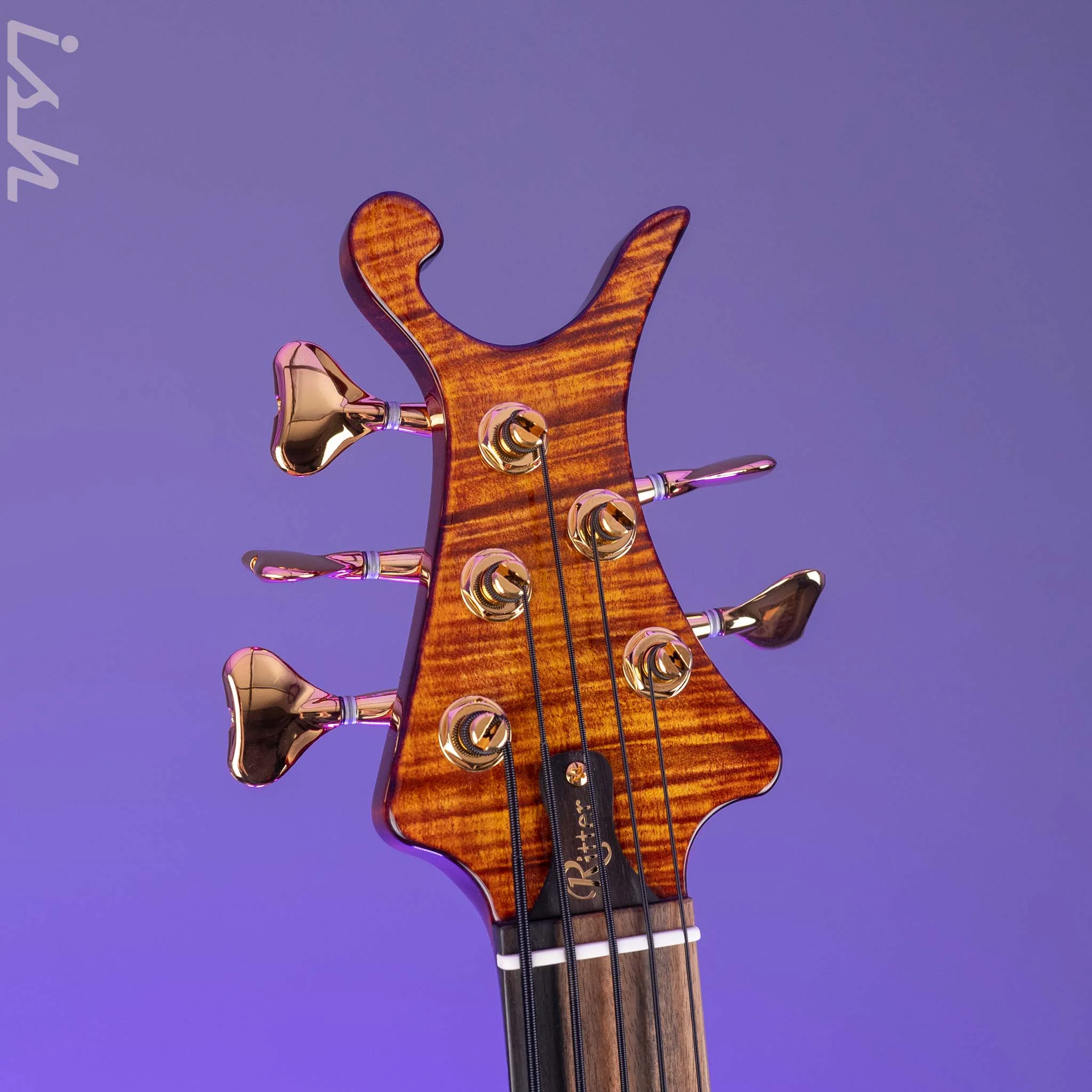 Ritter “The Late Lounge Raptor” 5 String Bass - Image 5