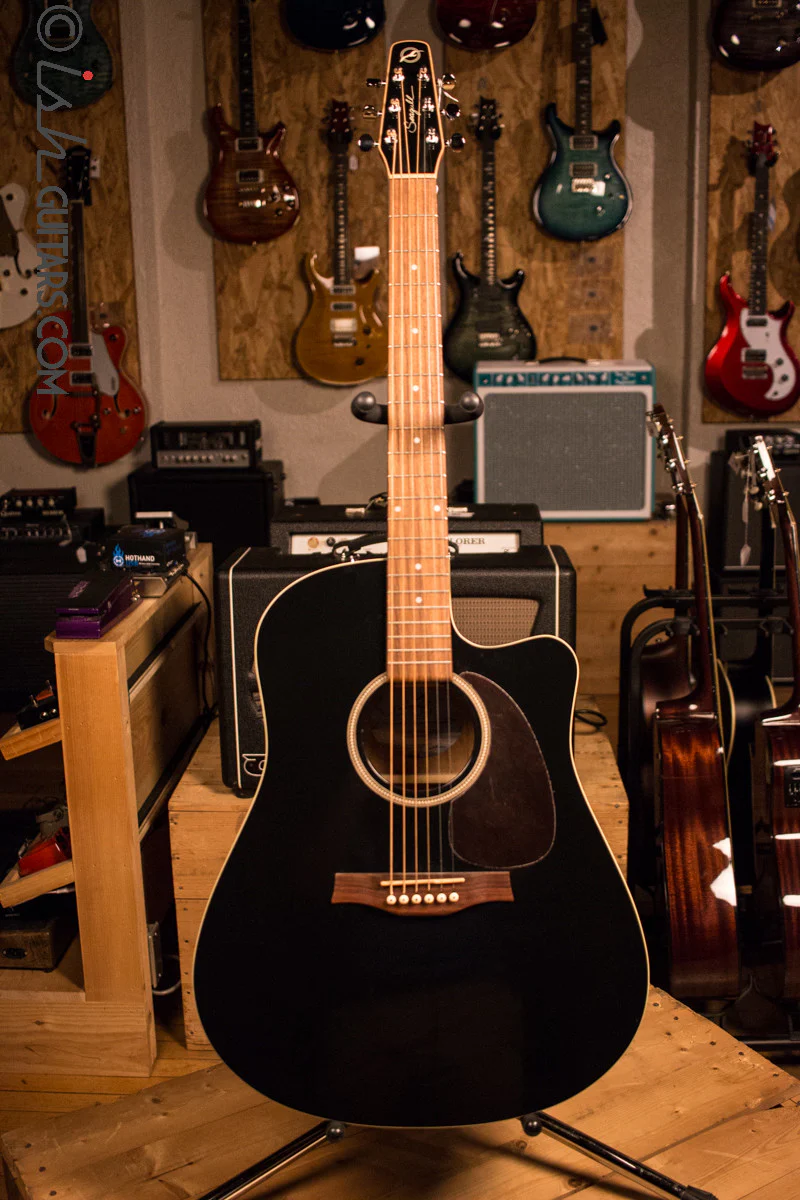 Seagull Entourage CW Black GT QI Acoustic Electric Guitar - Image 2