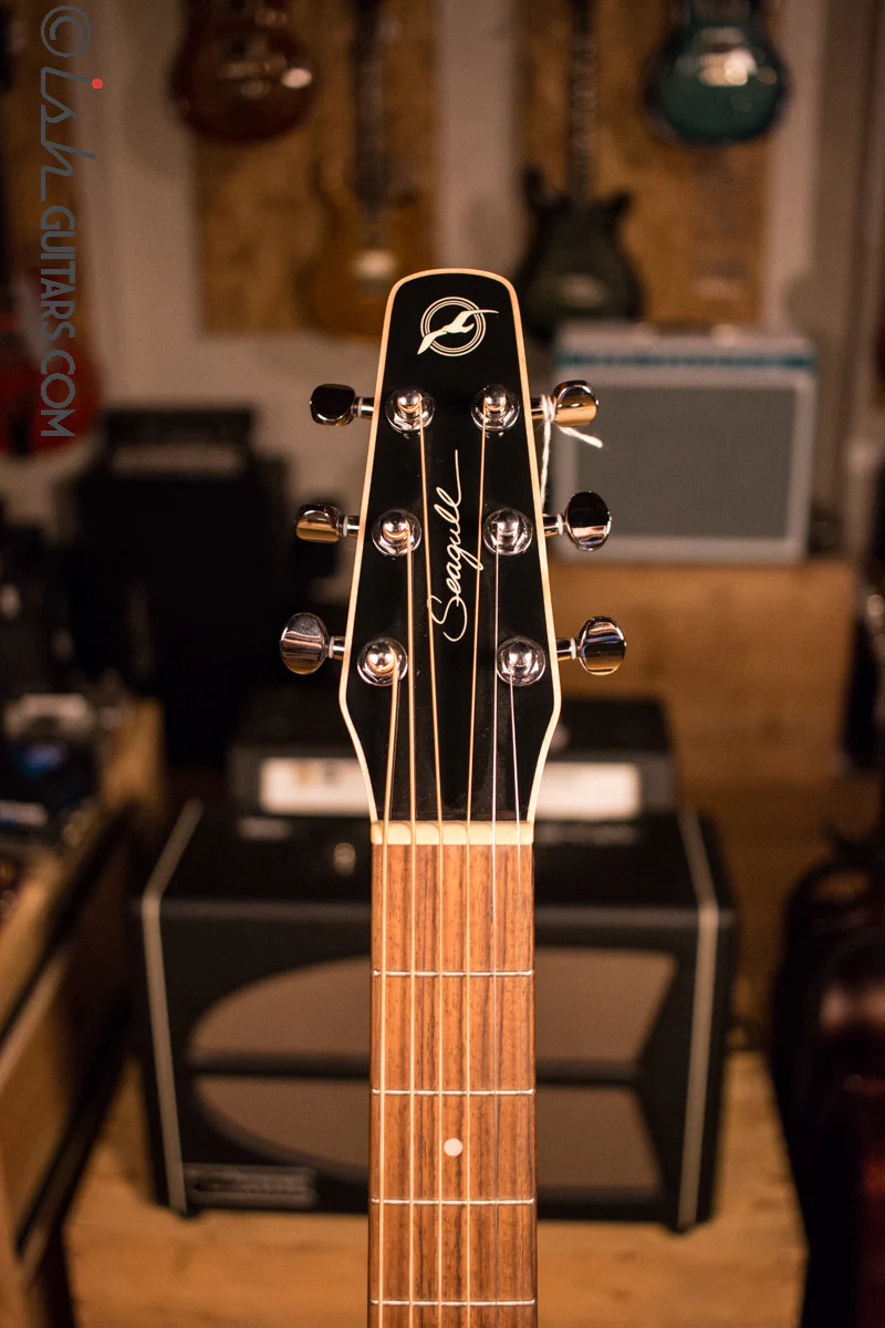 Seagull Entourage CW Black GT QI Acoustic Electric Guitar - Image 5