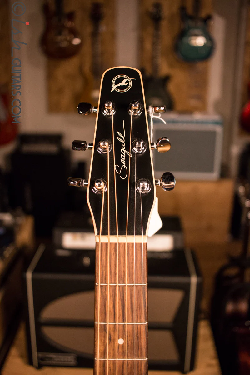 Seagull S6 Entourage Acoustic Guitar Rustic Burst - Image 5
