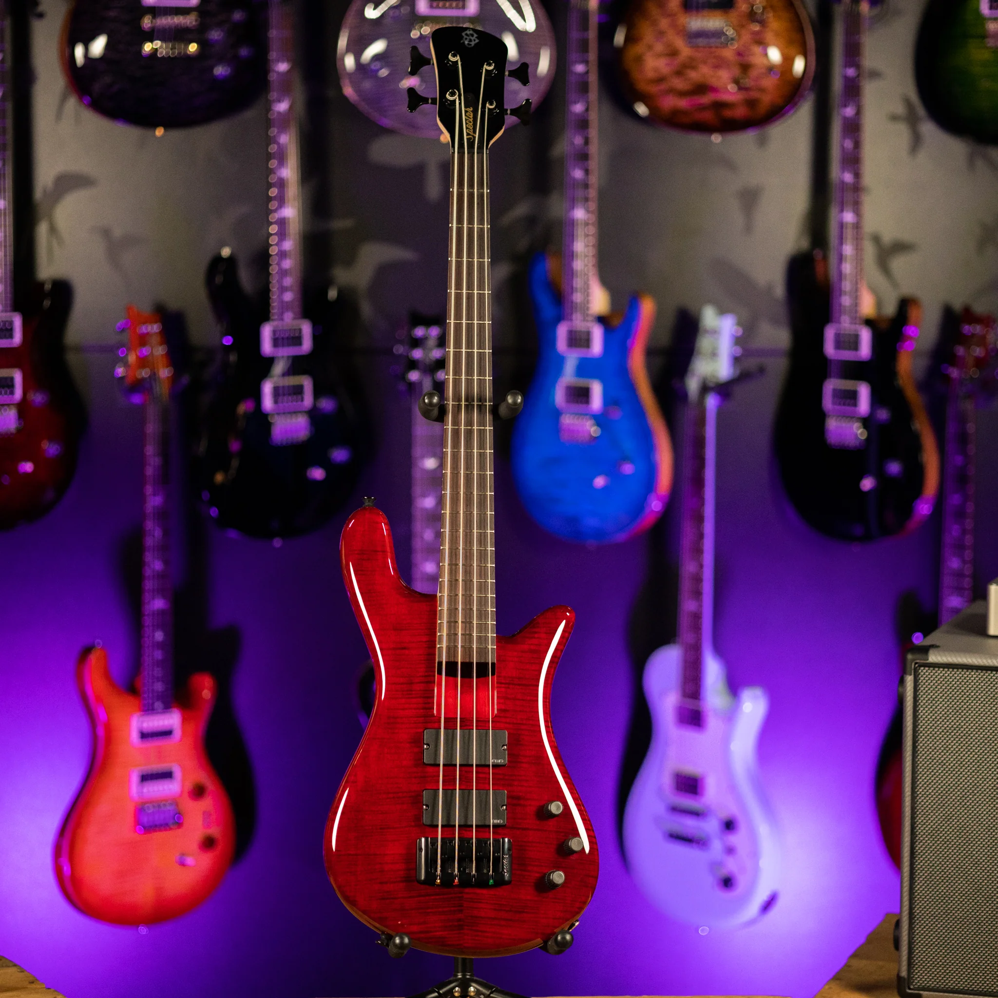 Spector Bantam 4 Bass Black Cherry Gloss - Image 2