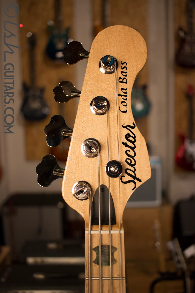 USA Spector Coda Deluxe P Precision Bass Inferno Red Buckeye Burl - Image 5